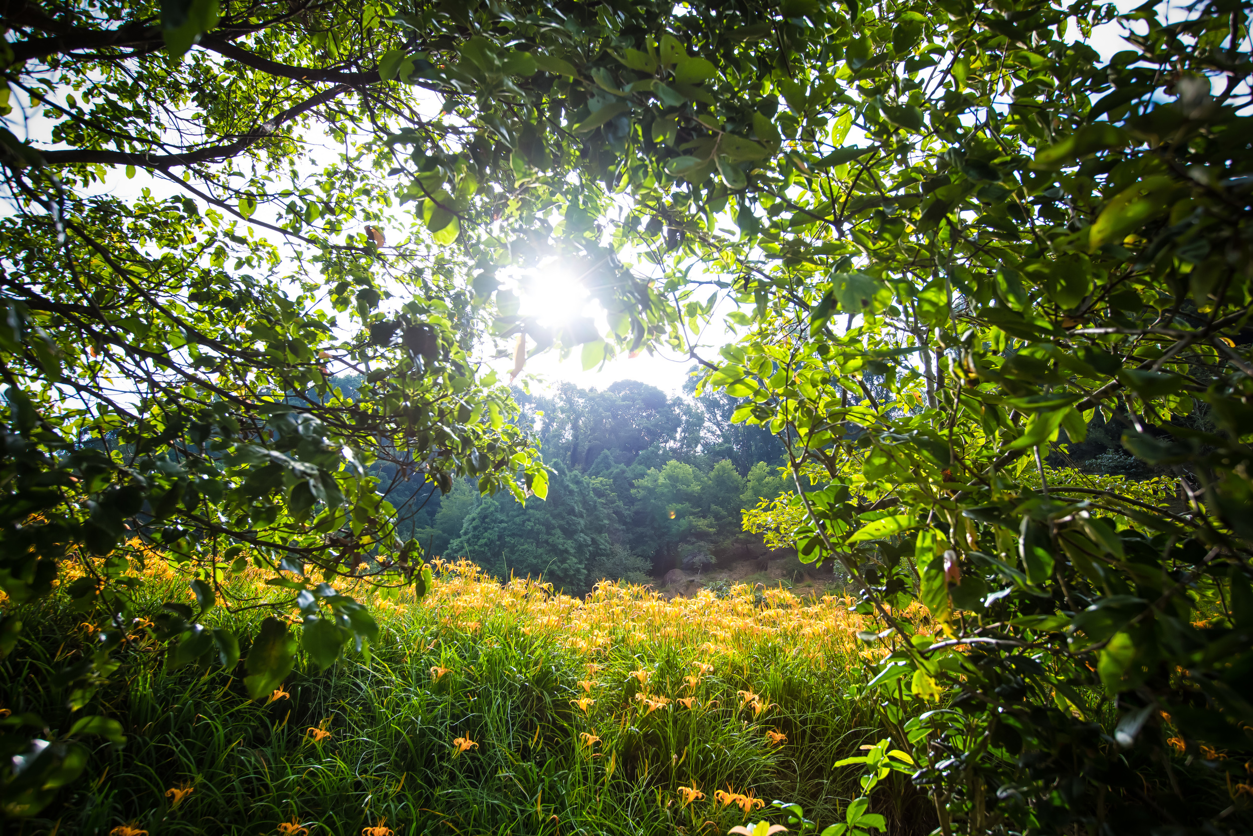 GTJ-2015-0823-3.jpg
