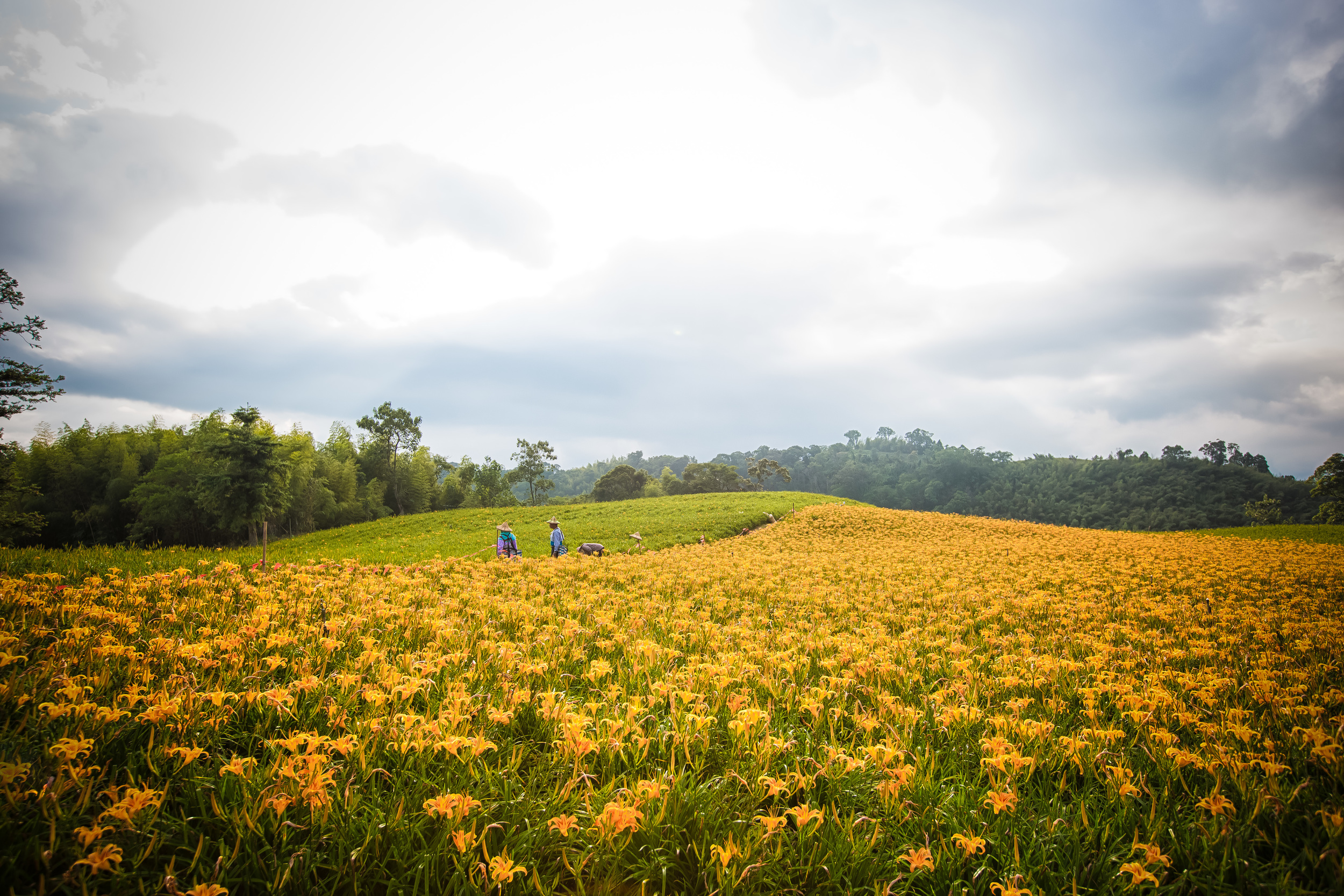 GTJ-2015-0823-20.jpg