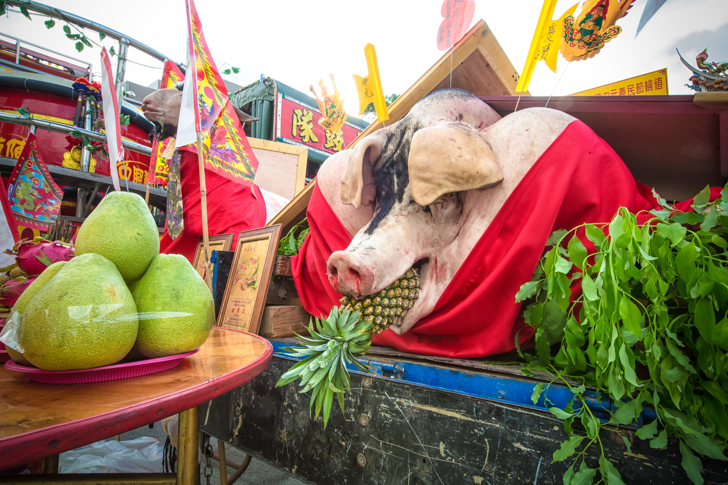 GTJ-2015-0904-19.jpg