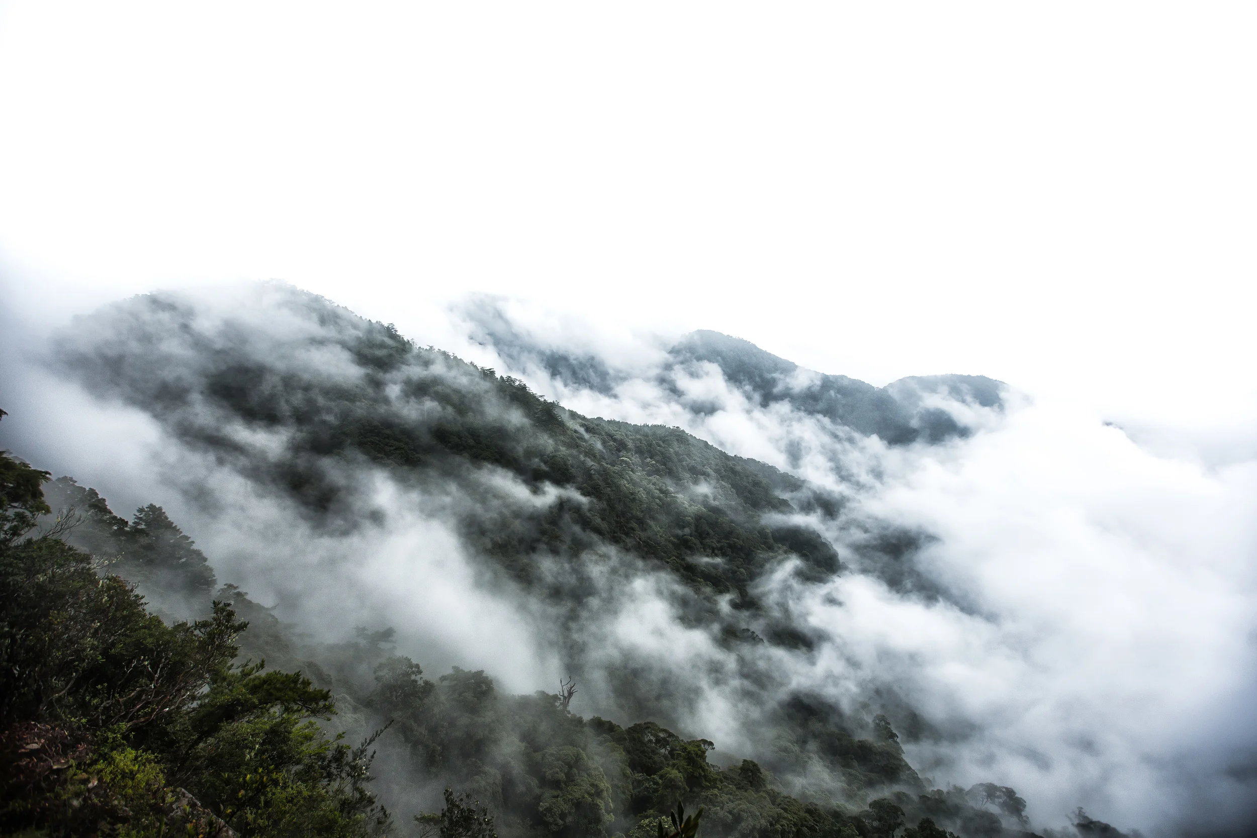Clouds rolling in. 