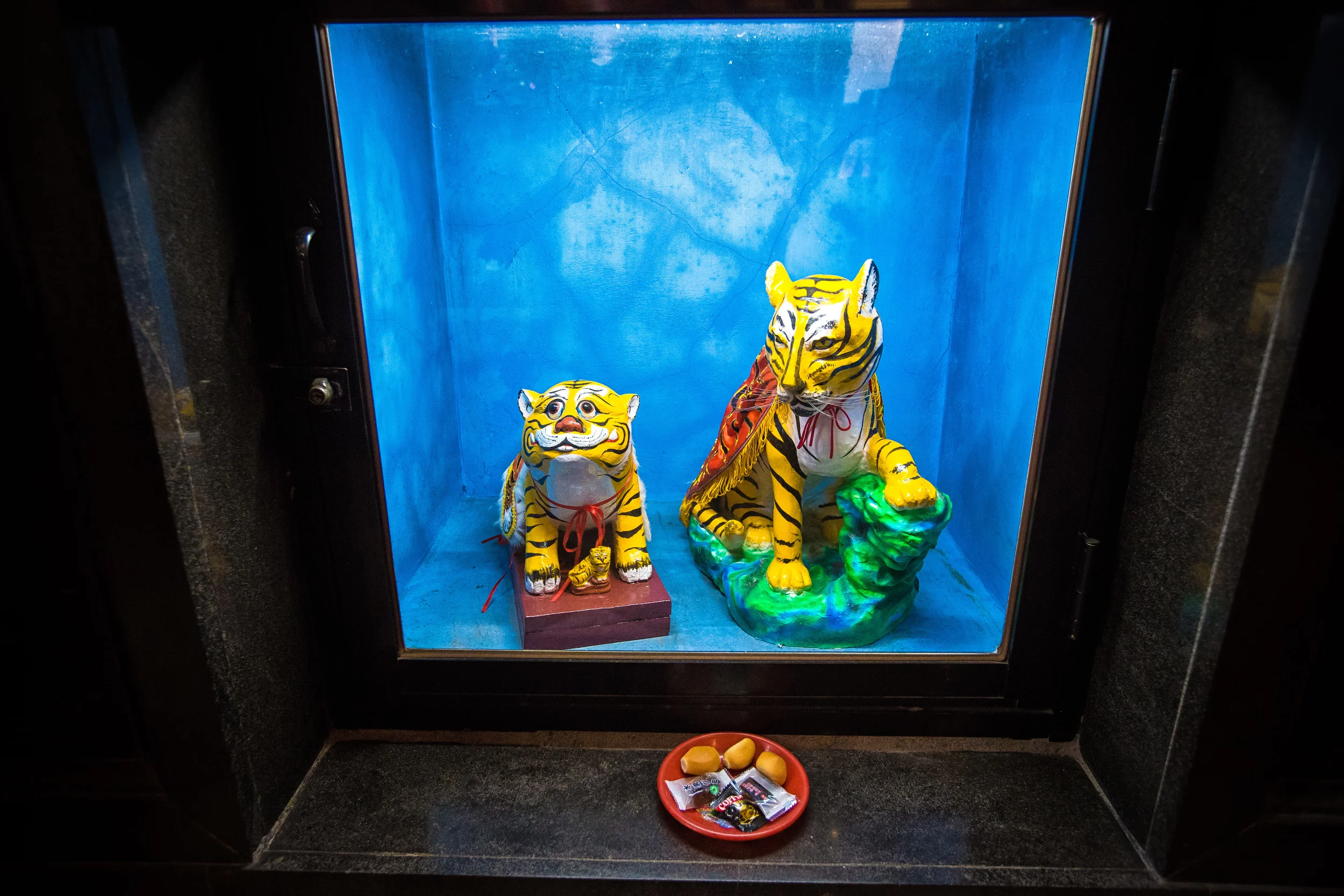 GTJ-2015-1212-22.jpg