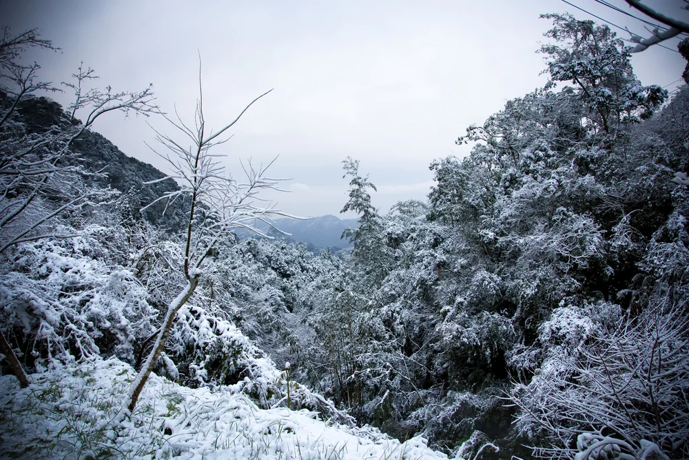 Snow In Taiwan Josh Ellis Photography