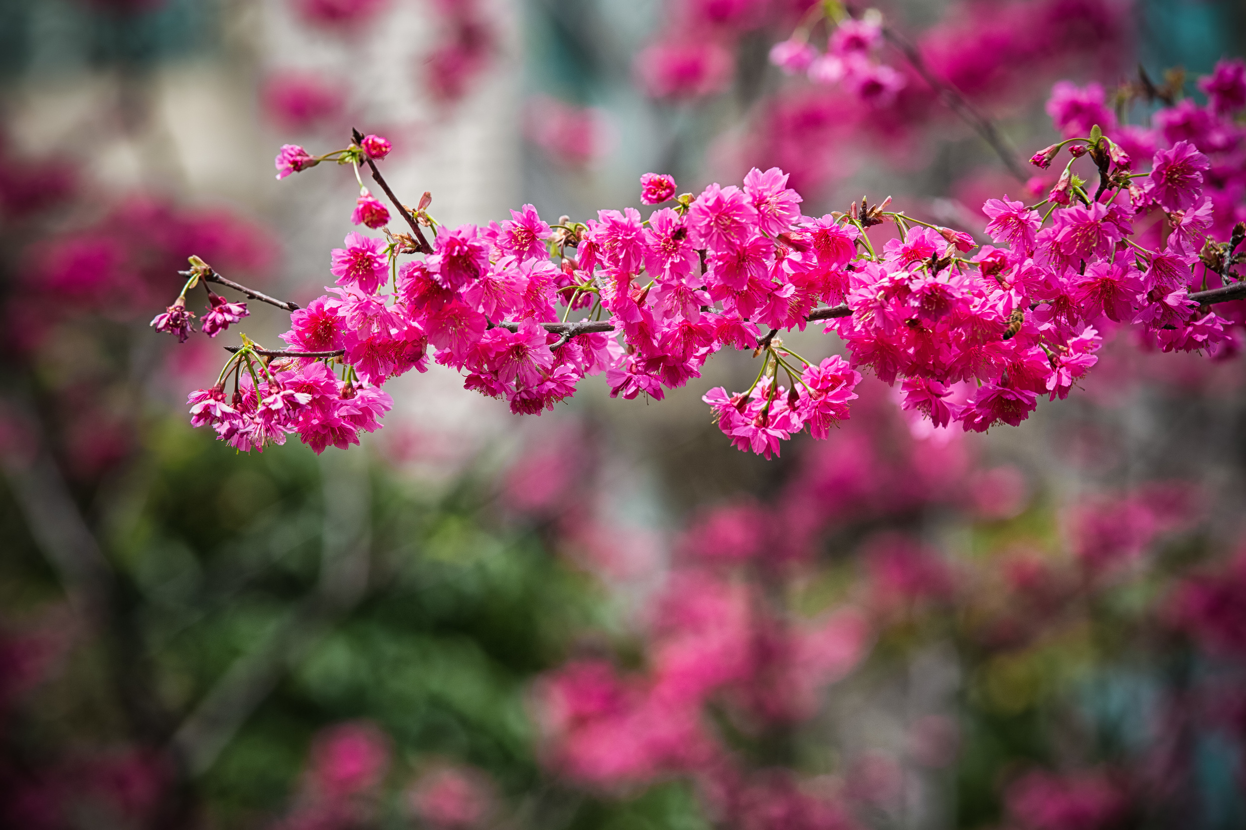 GTJ-2016-0308-1.jpg