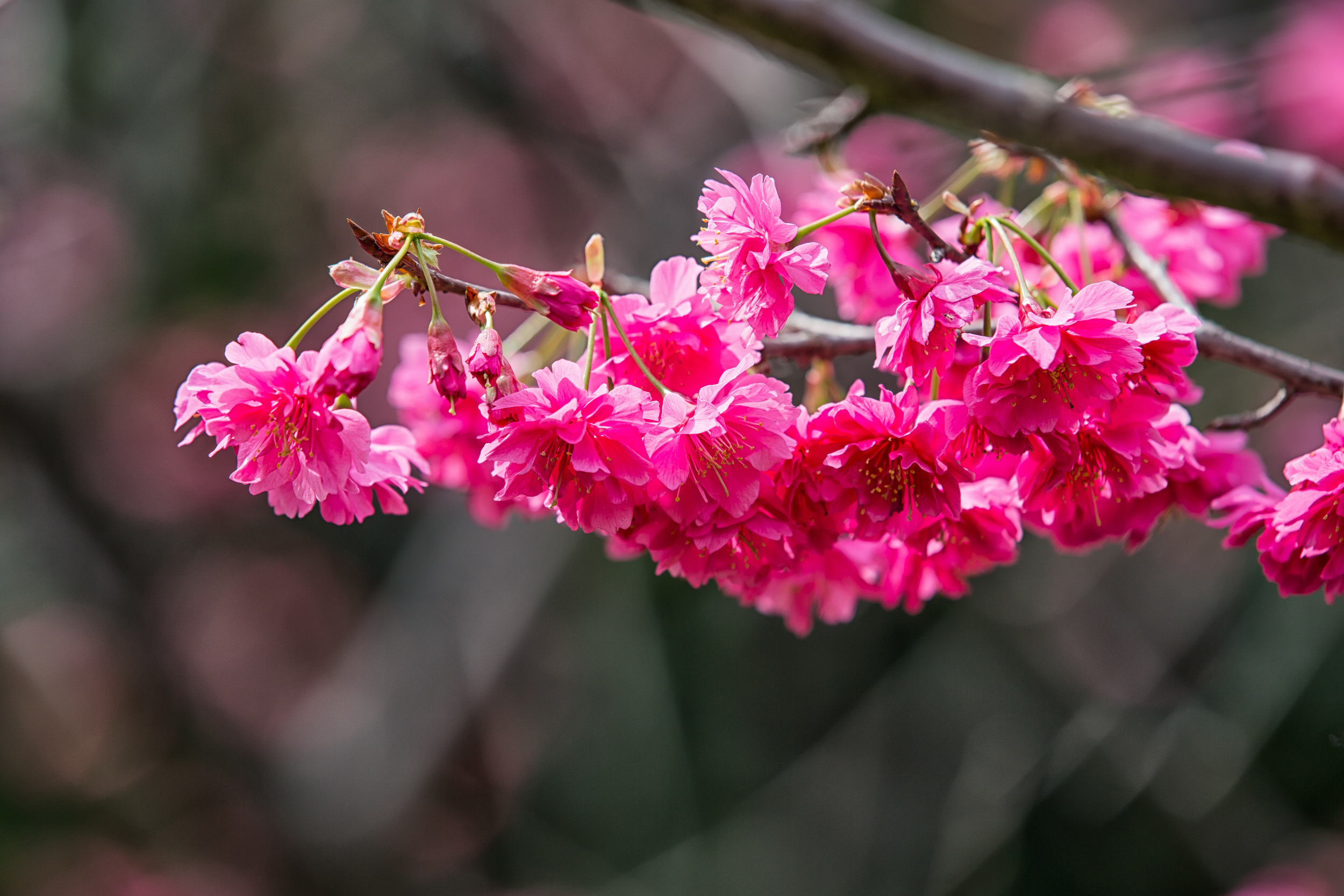 GTJ-2016-0308-2.jpg
