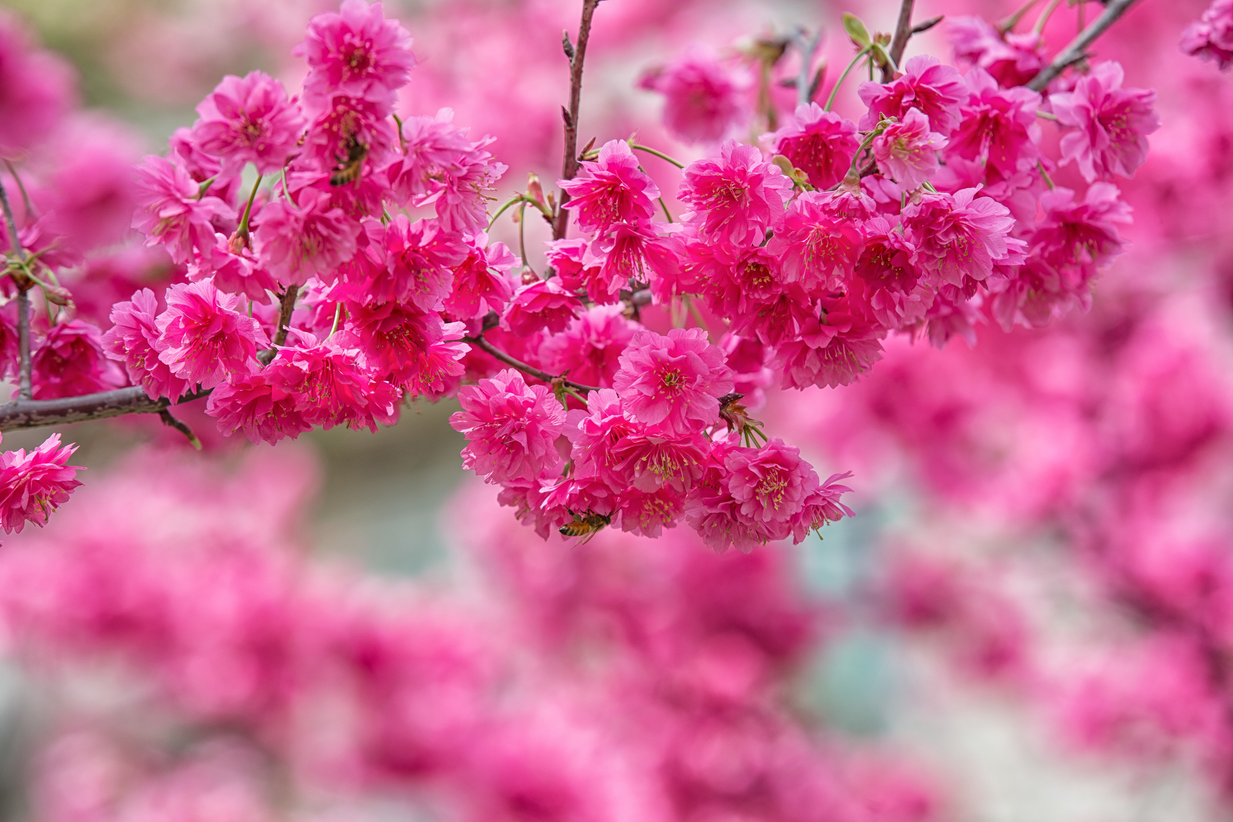 GTJ-2016-0308-6.jpg