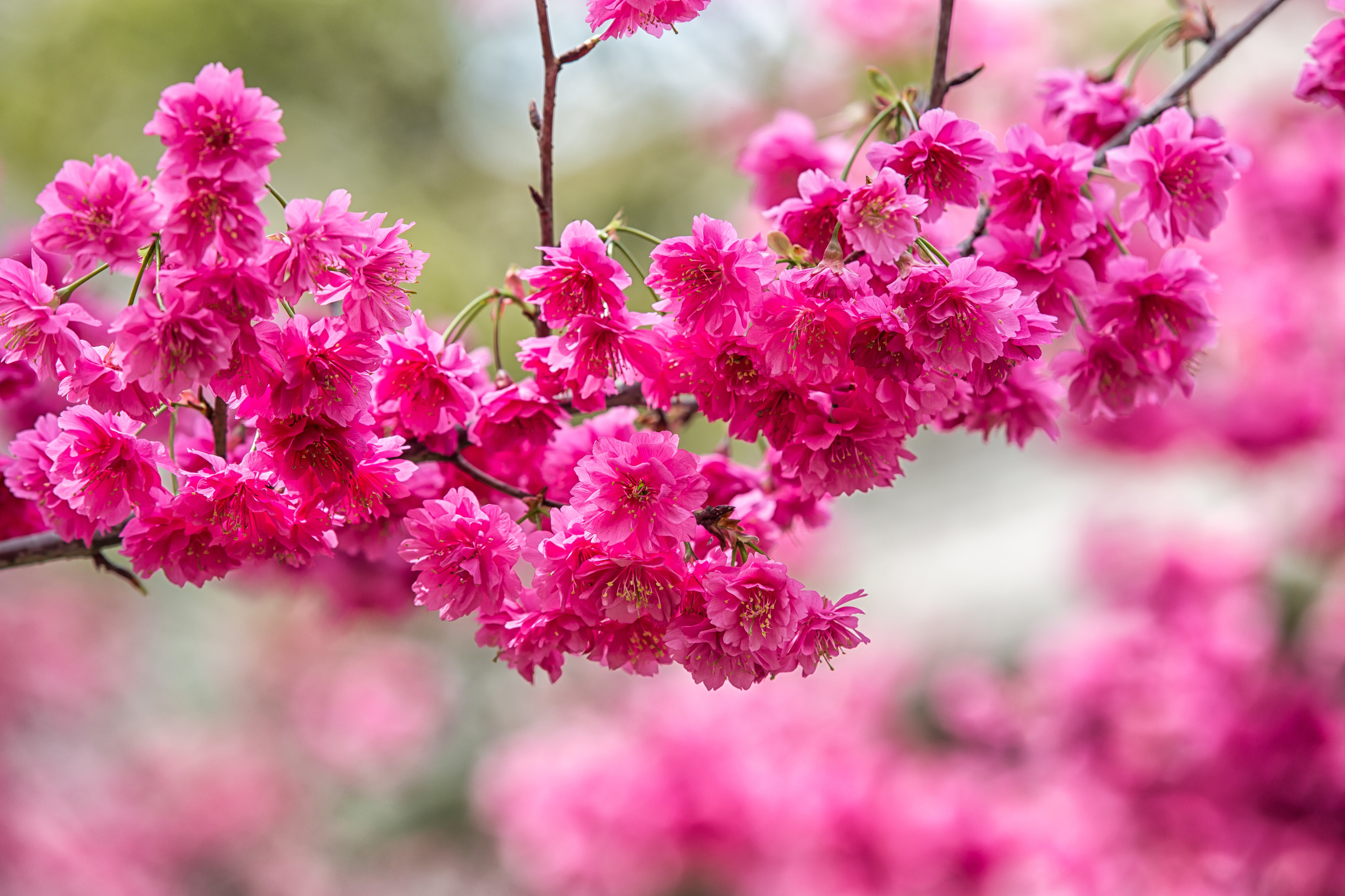 GTJ-2016-0308-8.jpg