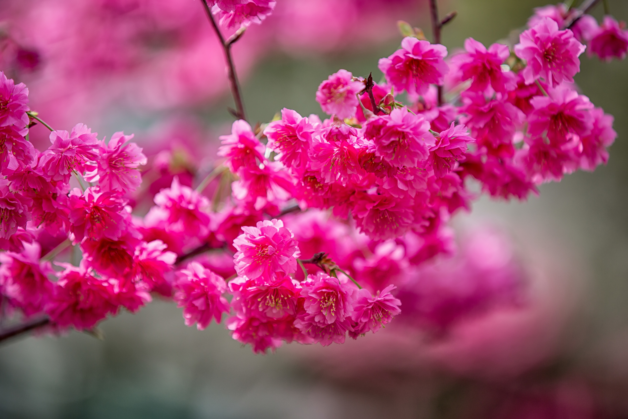 GTJ-2016-0308-10.jpg