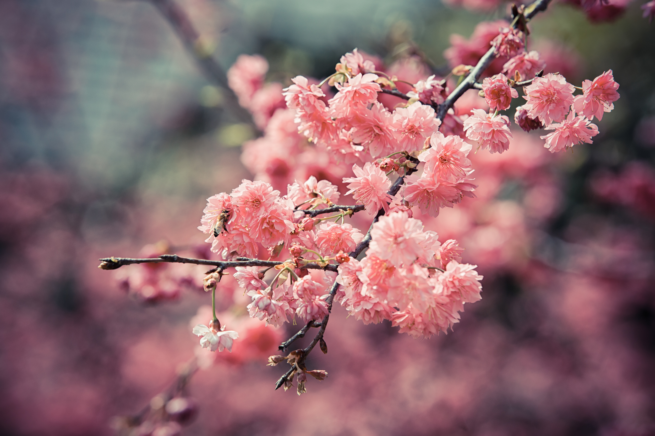 GTJ-2016-0308-18.jpg