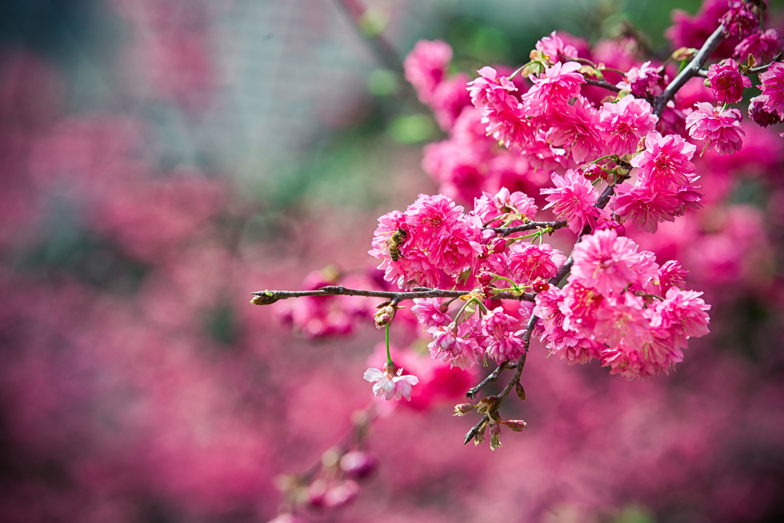 GTJ-2016-0308-20.jpg