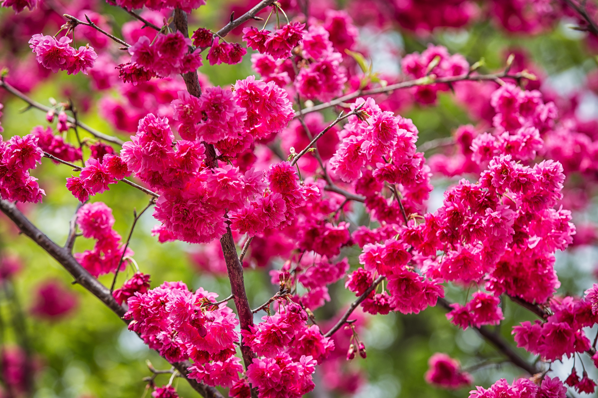 GTJ-2016-0308-25.jpg