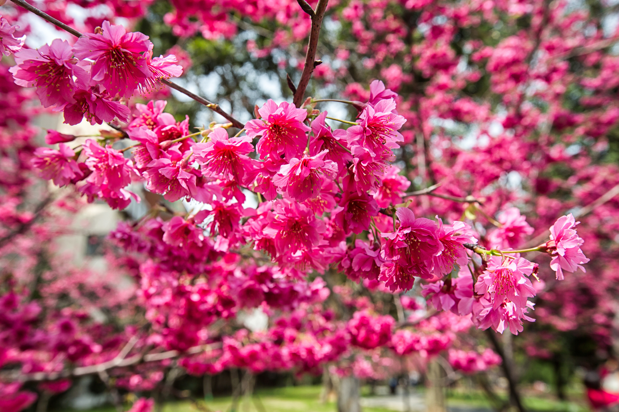 GTJ-2016-0308-29.jpg
