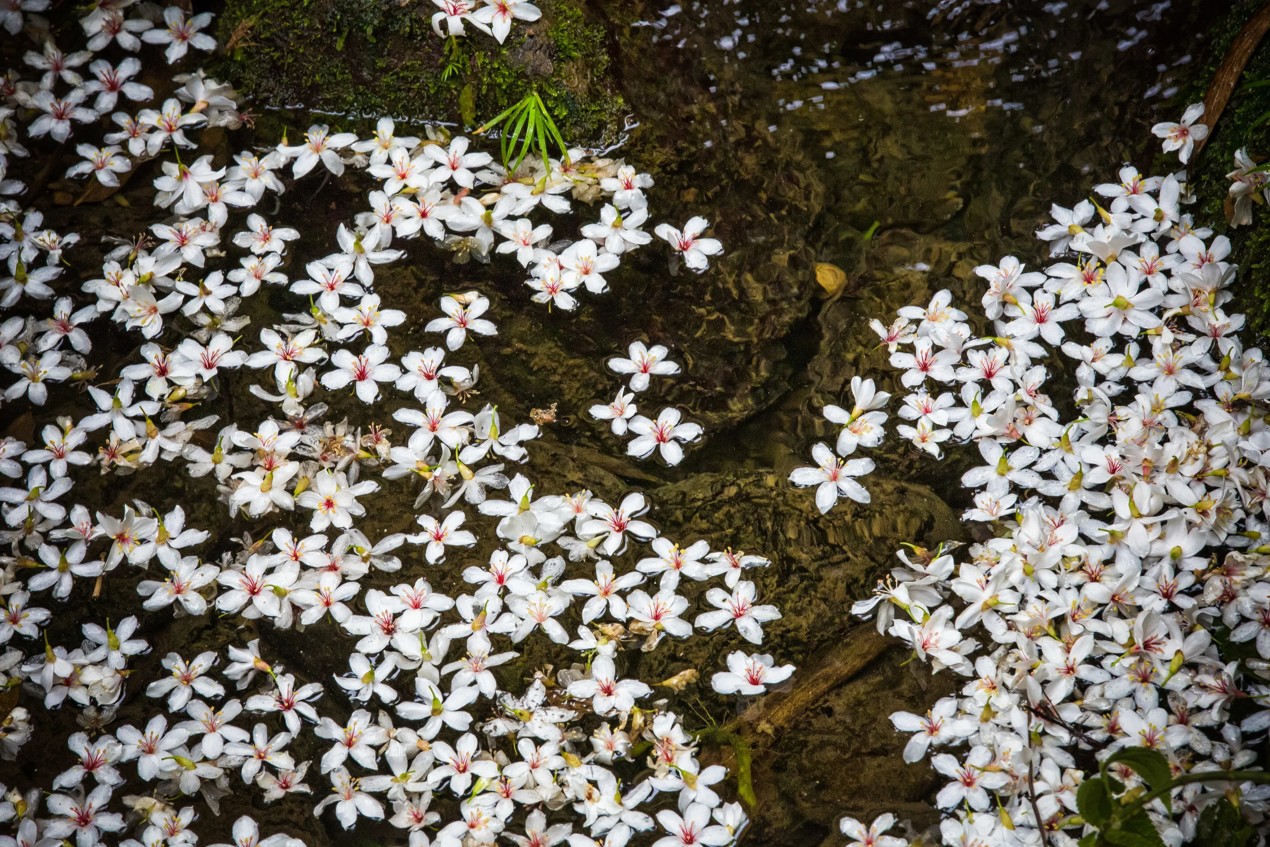 GTJ-2016-0512-6.jpg