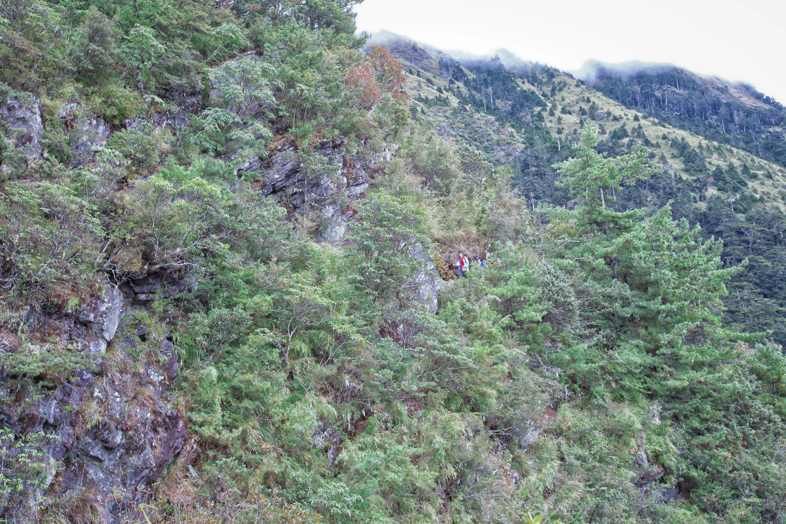 GTJ-2016-0528-11.jpg