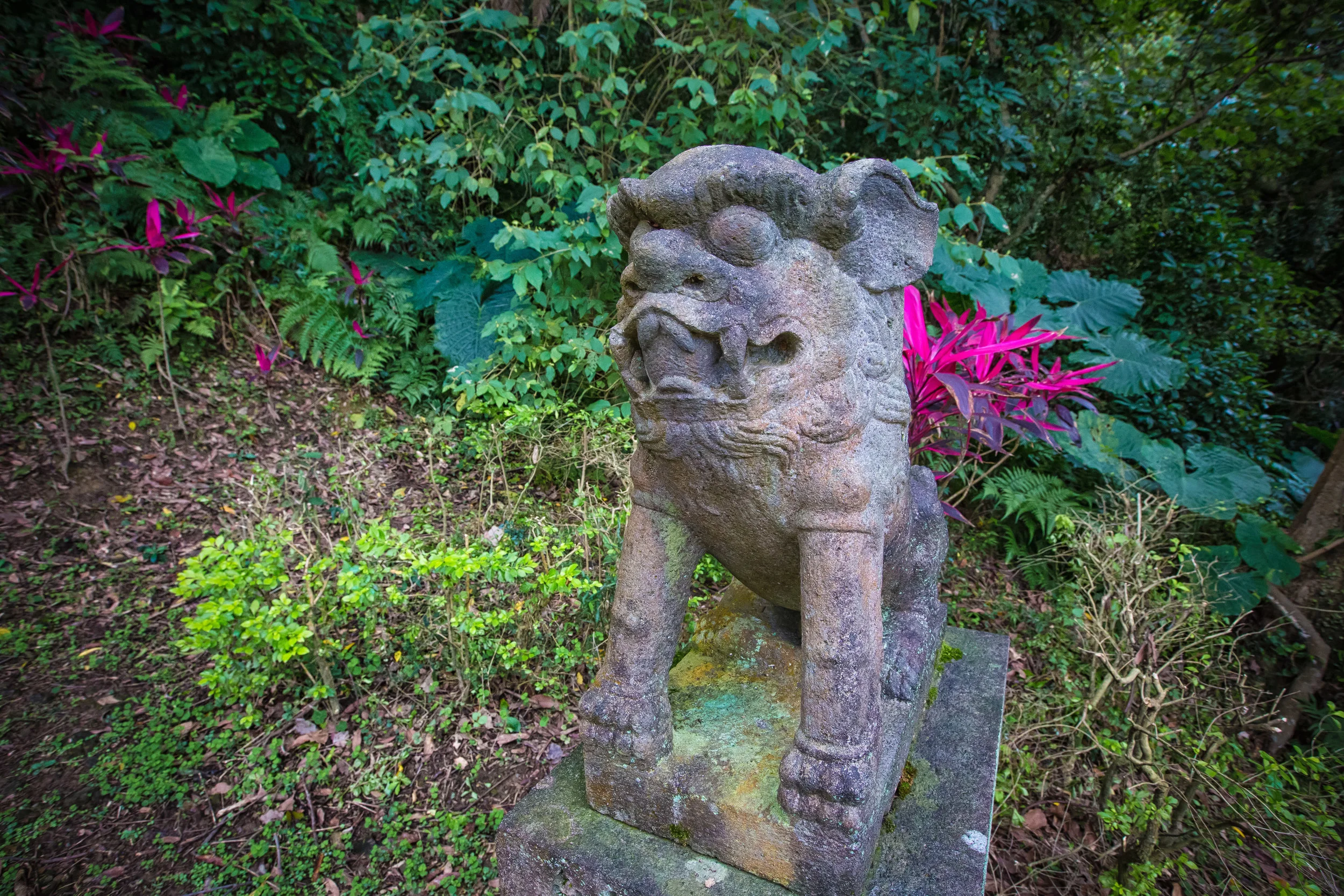 GTJ-2017-0512-21.jpg
