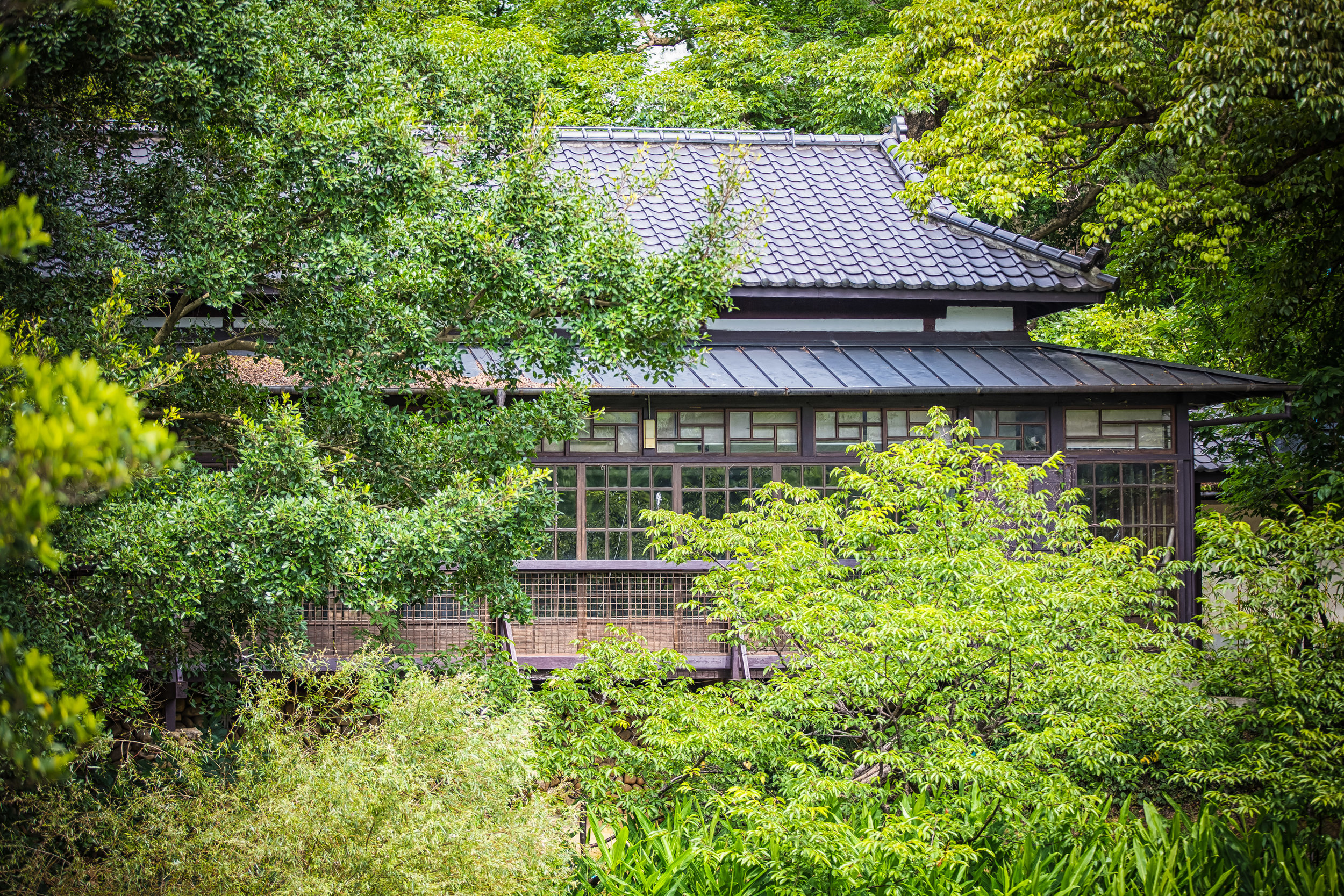 GTJ-2017-0729-31.jpg