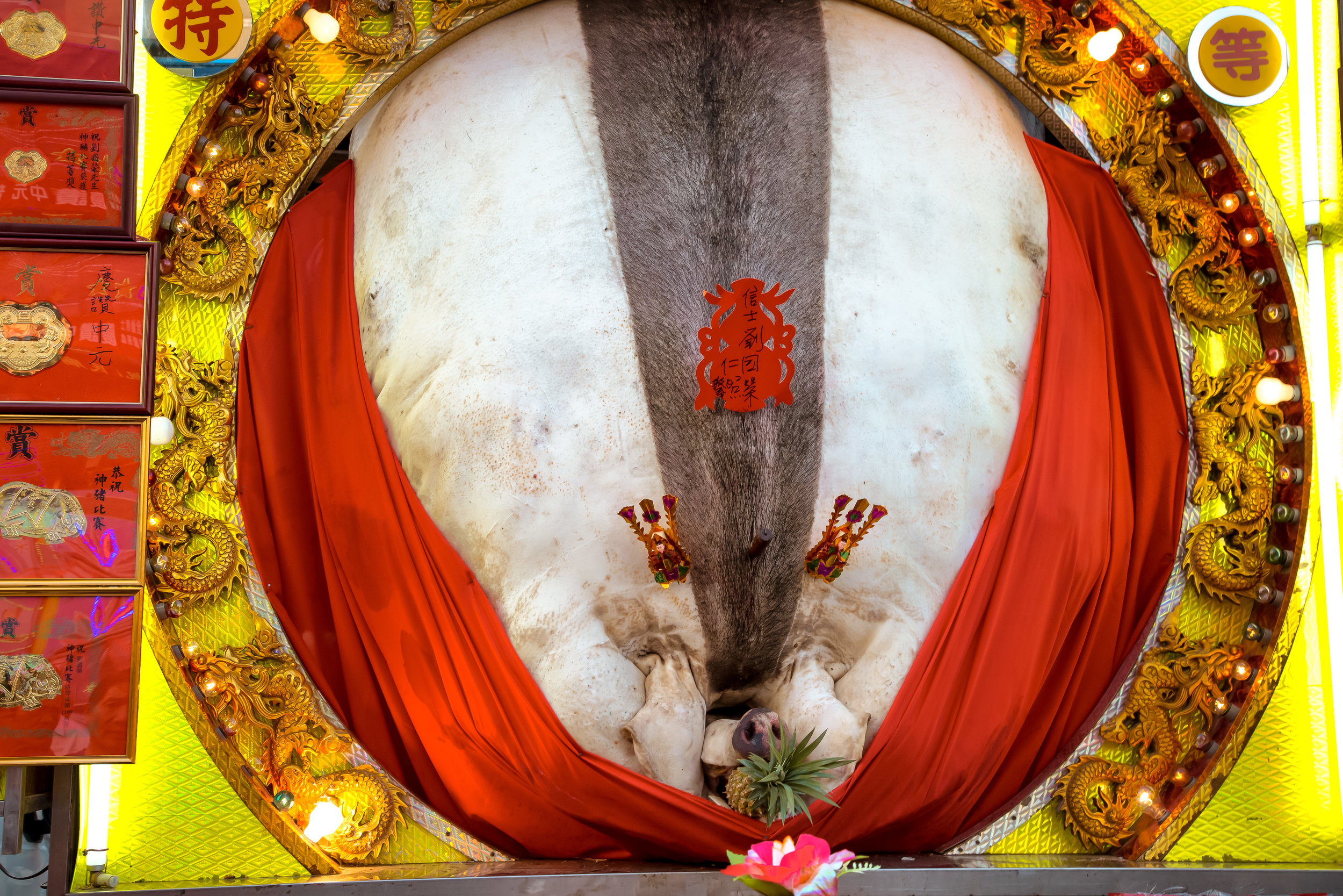 GTJ-2017-0912-22.jpg
