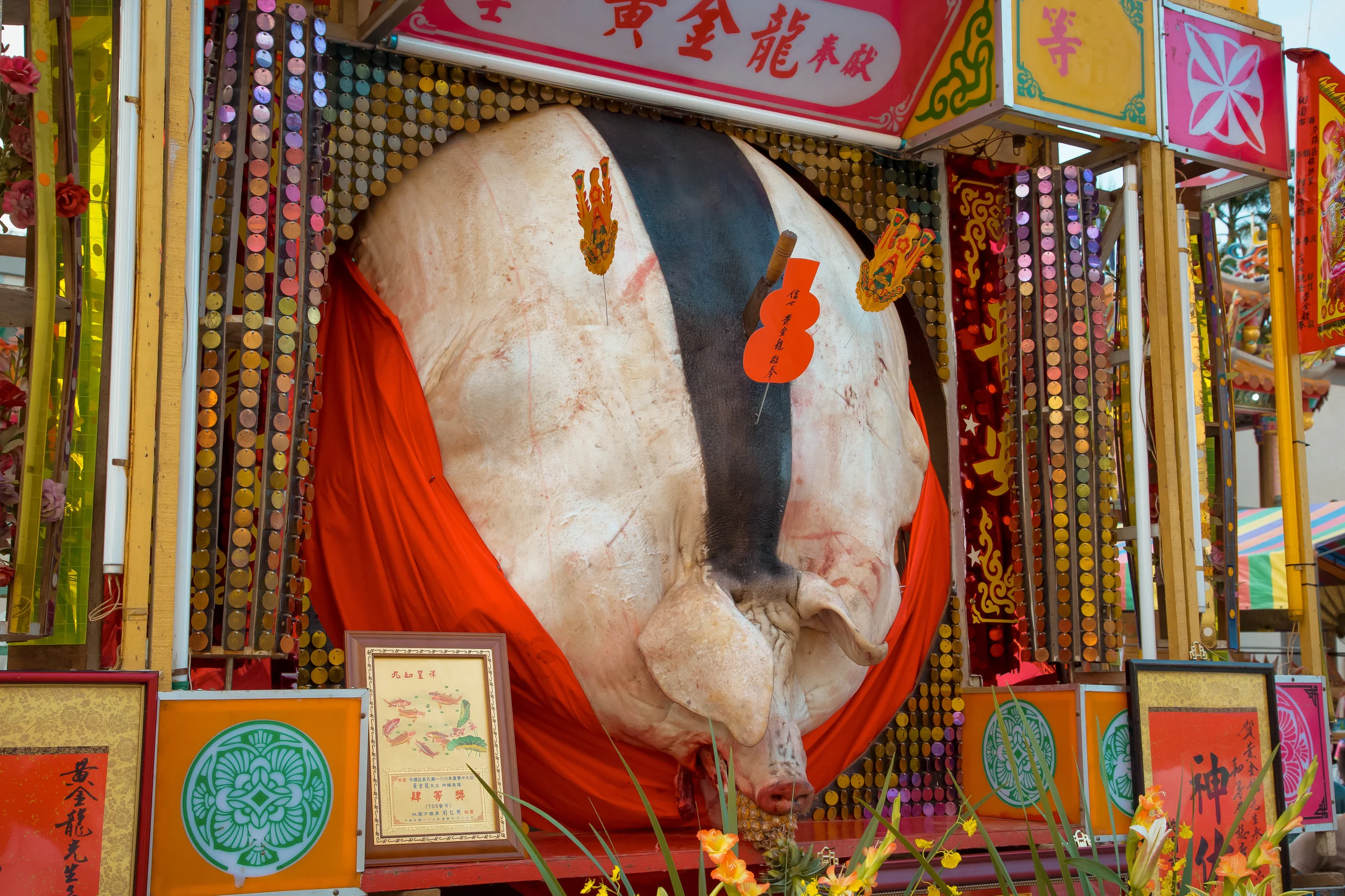GTJ-2017-0912-20.jpg
