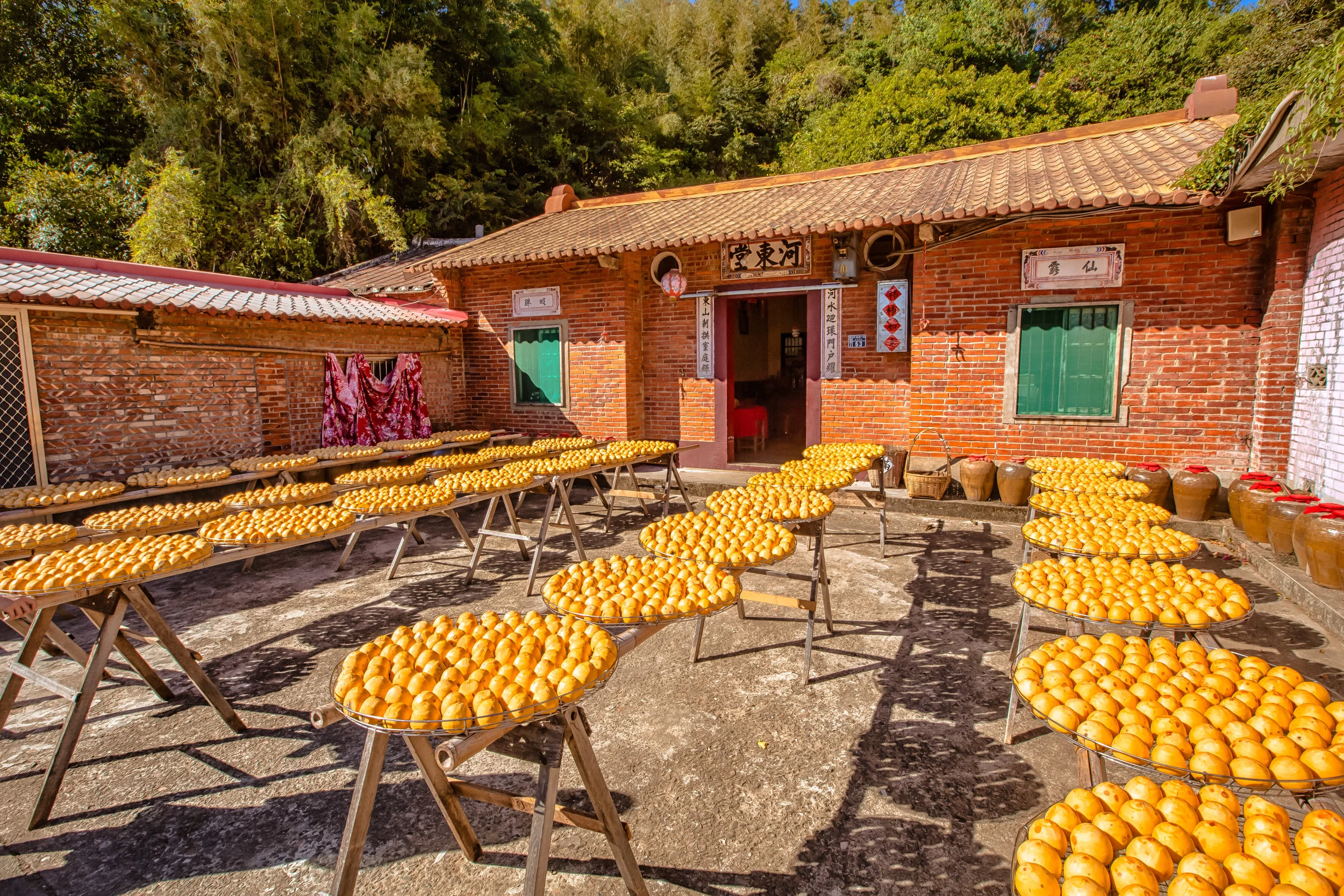 GTJ-2017-1015-44.jpg