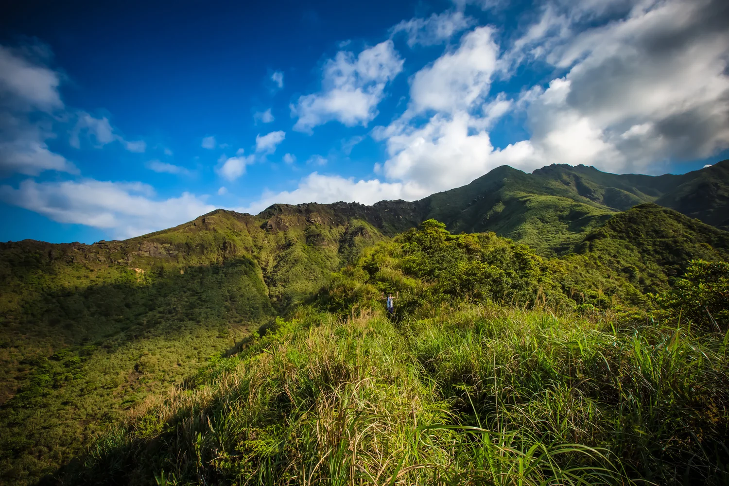 Stegosaurus Ridge (劍龍稜) — Josh Ellis Photography