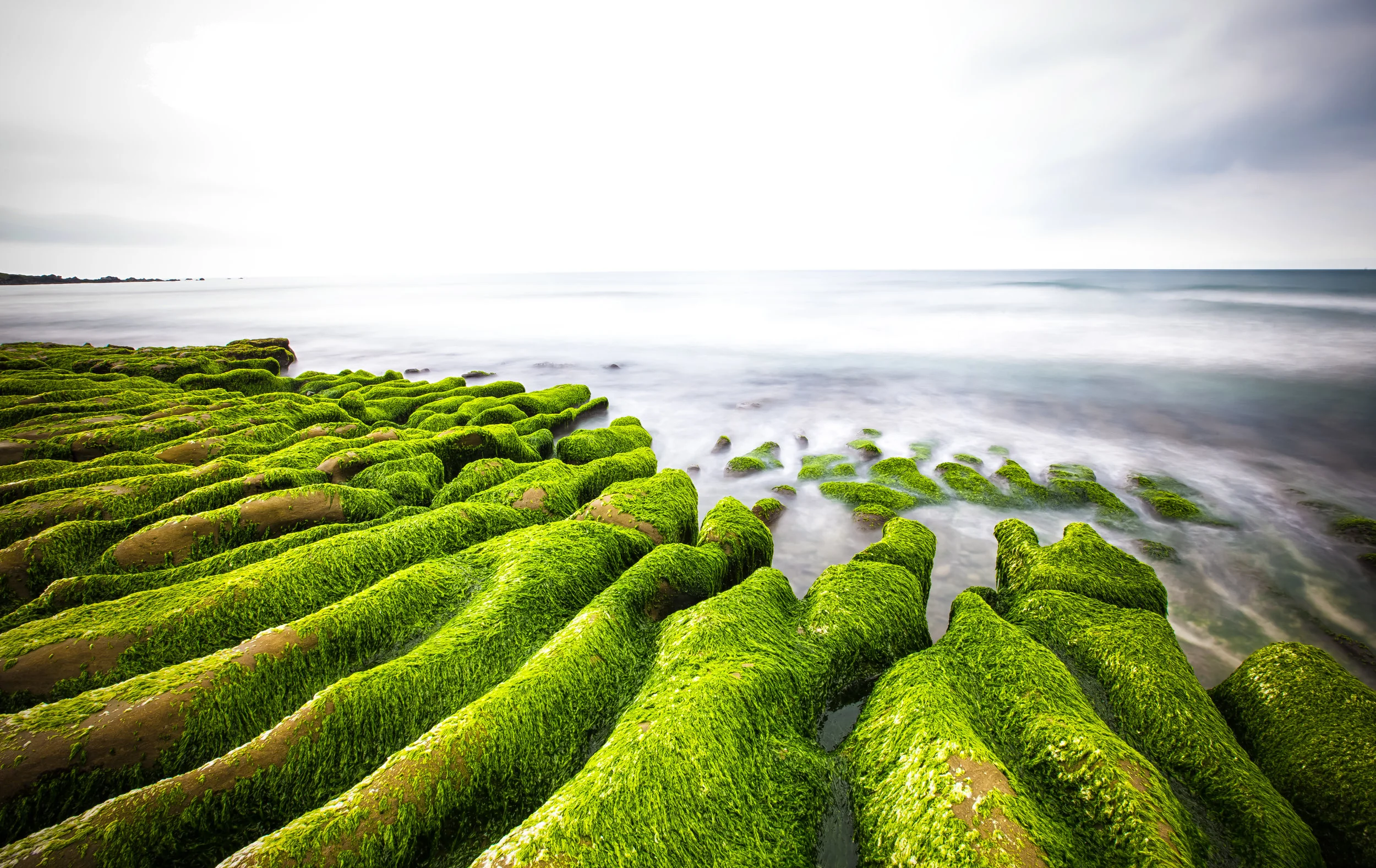 Laomei Green Reef Josh Ellis Photography