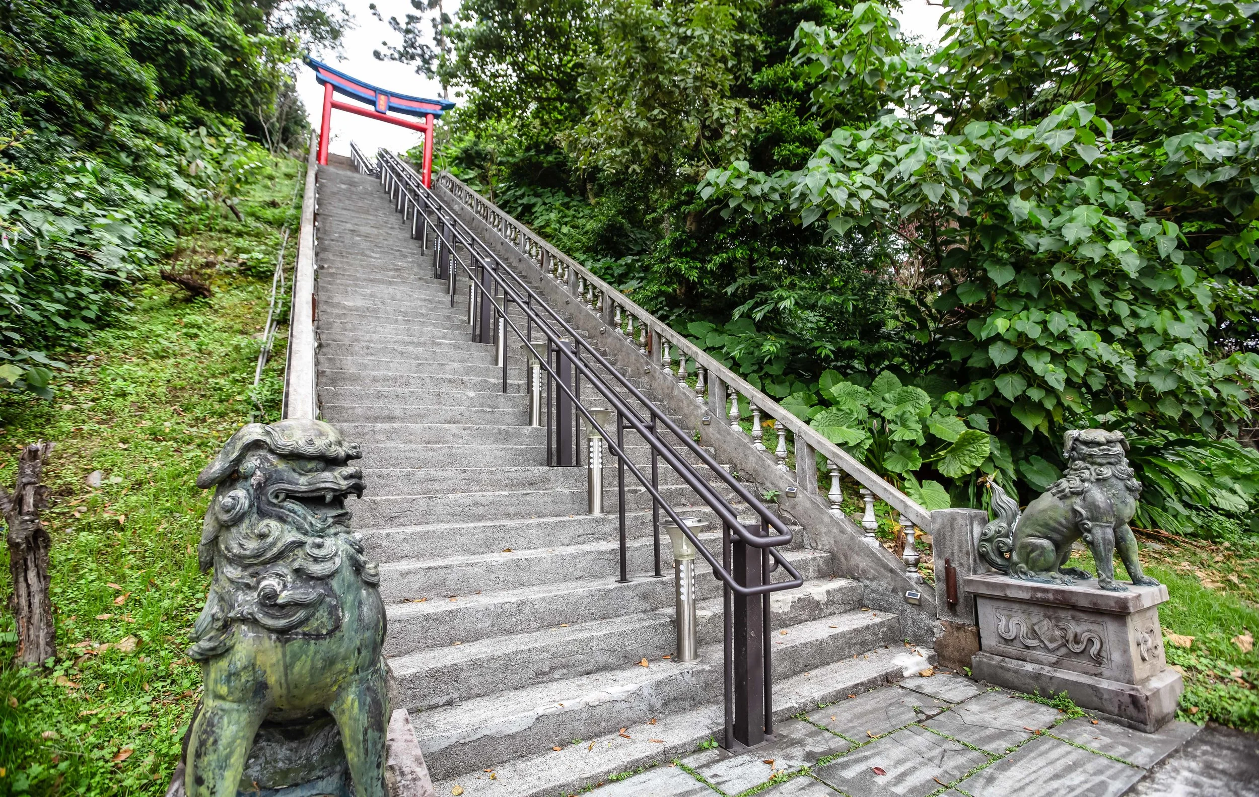 GTJ-2019-0314-34.jpg