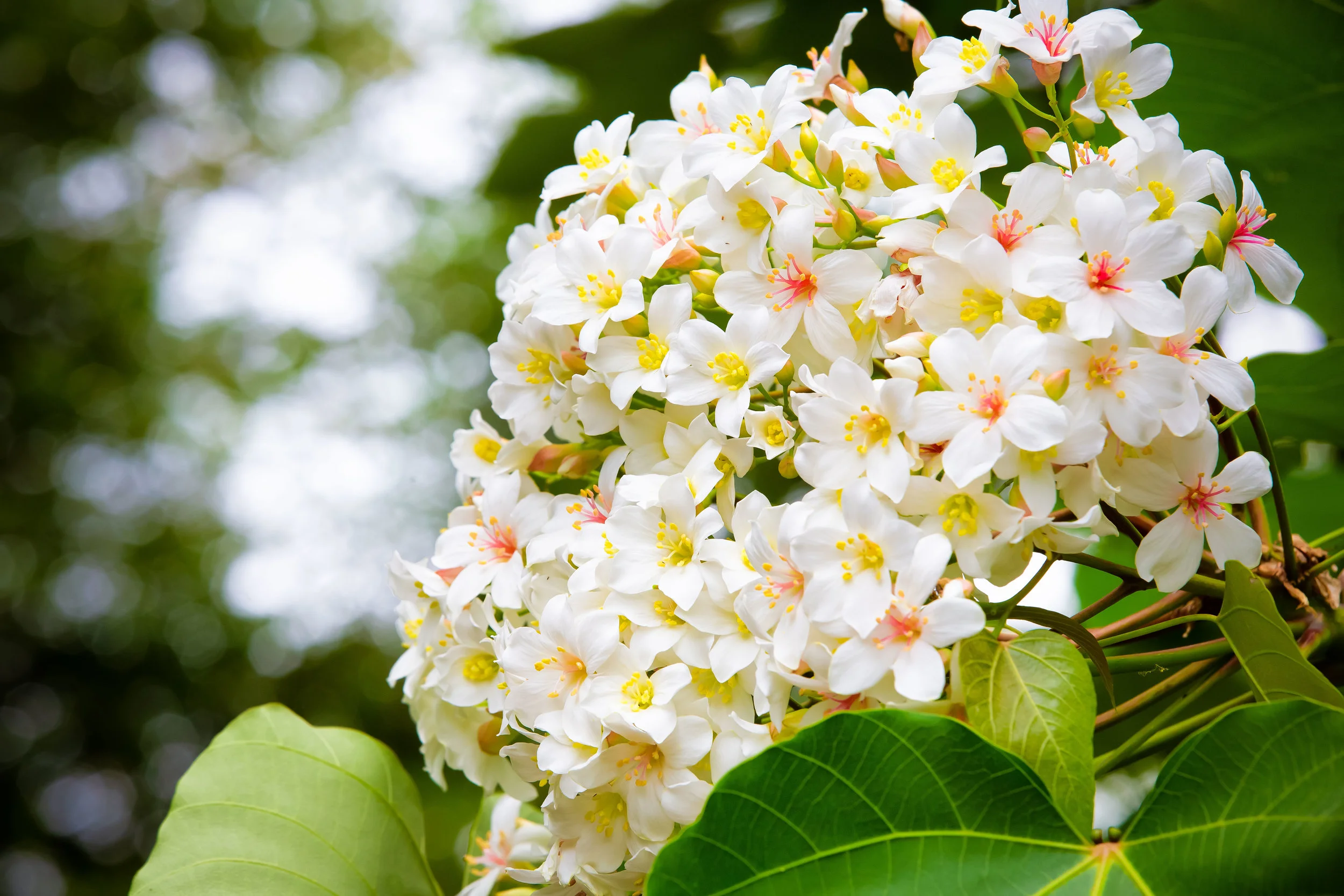 GTJ-2019-0507-30.jpg