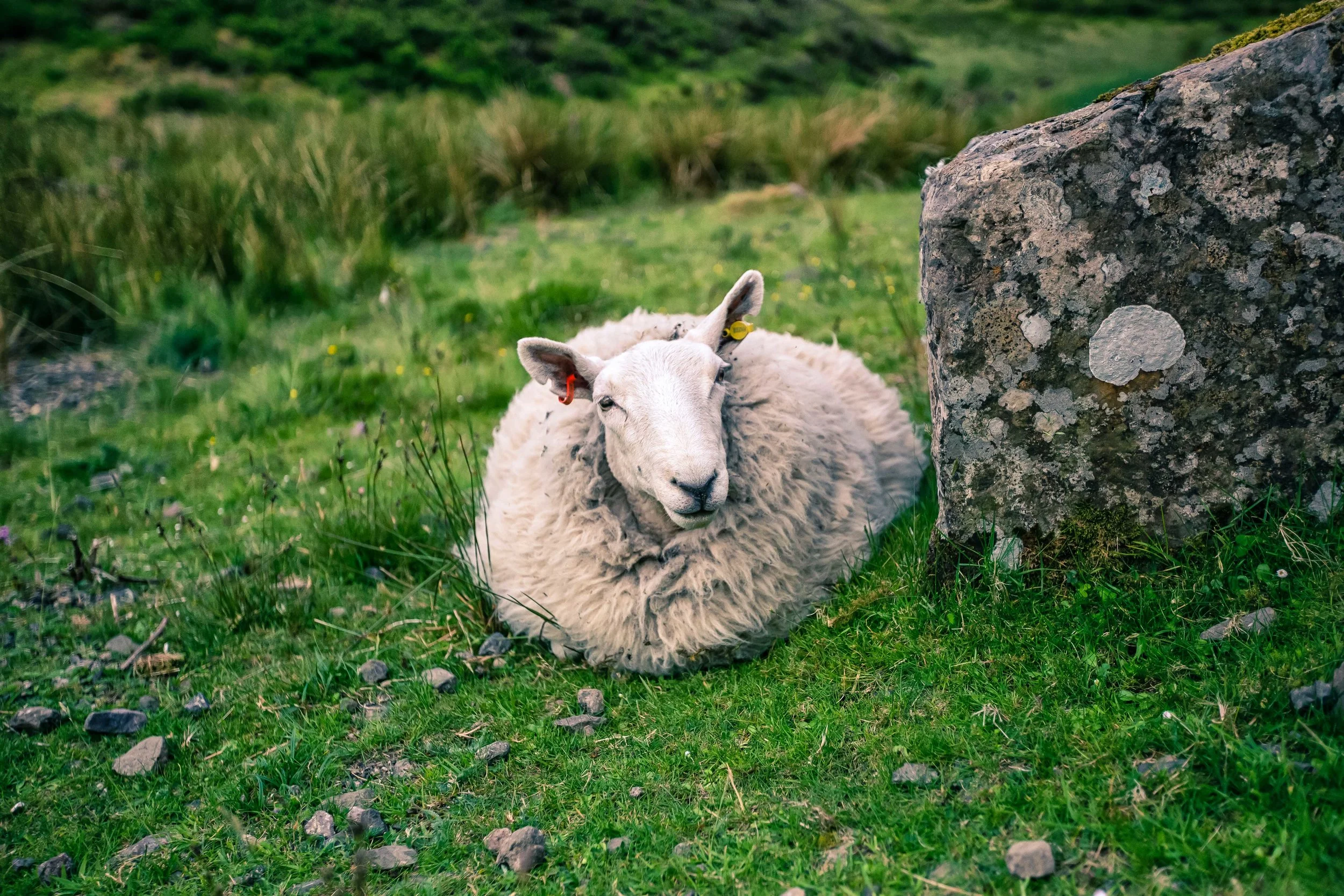 GTJ-2019-0613-32.jpg