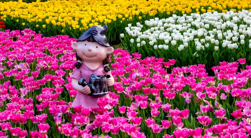 鬱金香 Josh Ellis Photography Blog Josh Ellis Photography