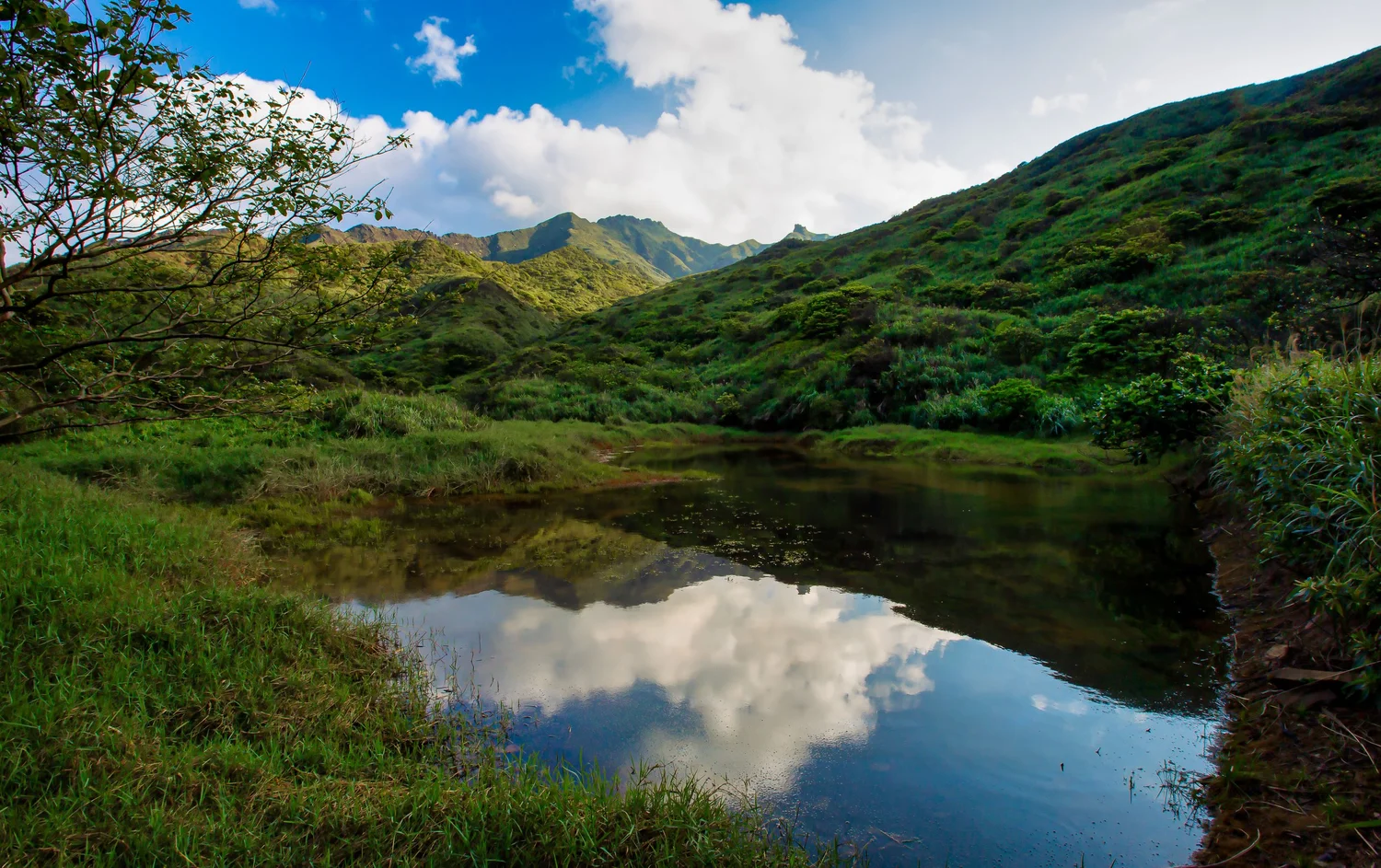 Stegosaurus Ridge (劍龍稜) — Josh Ellis Photography