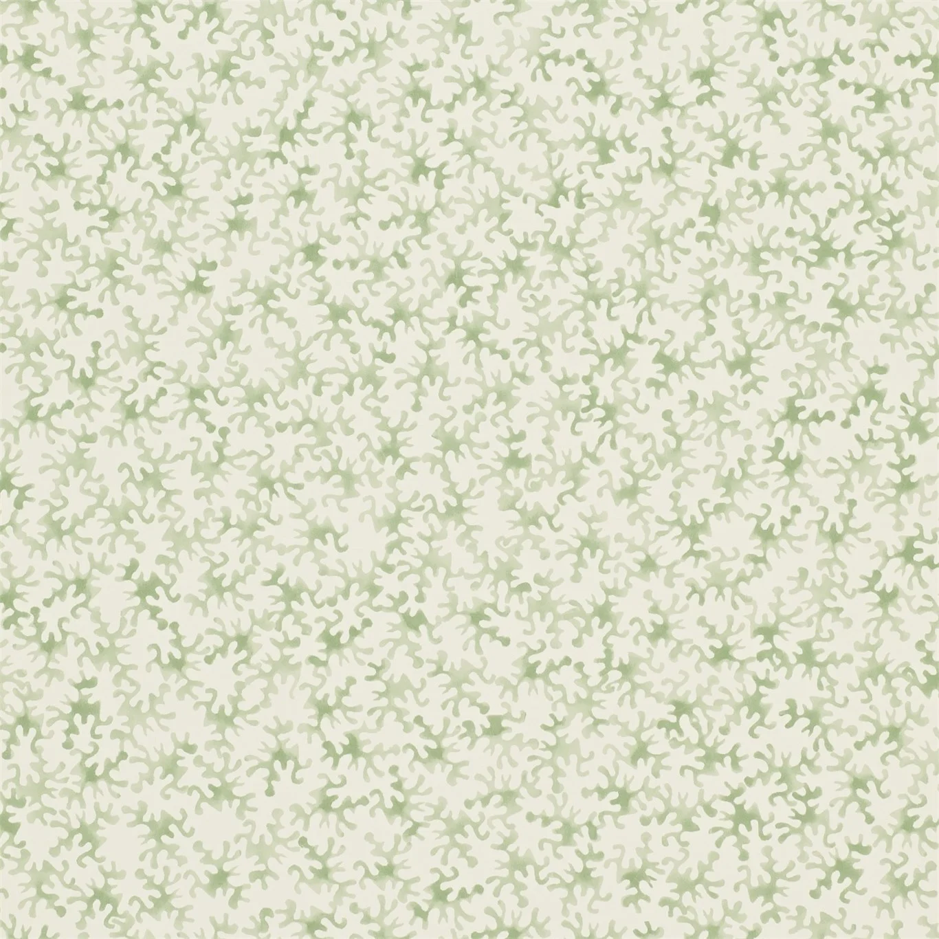 Coral 213629