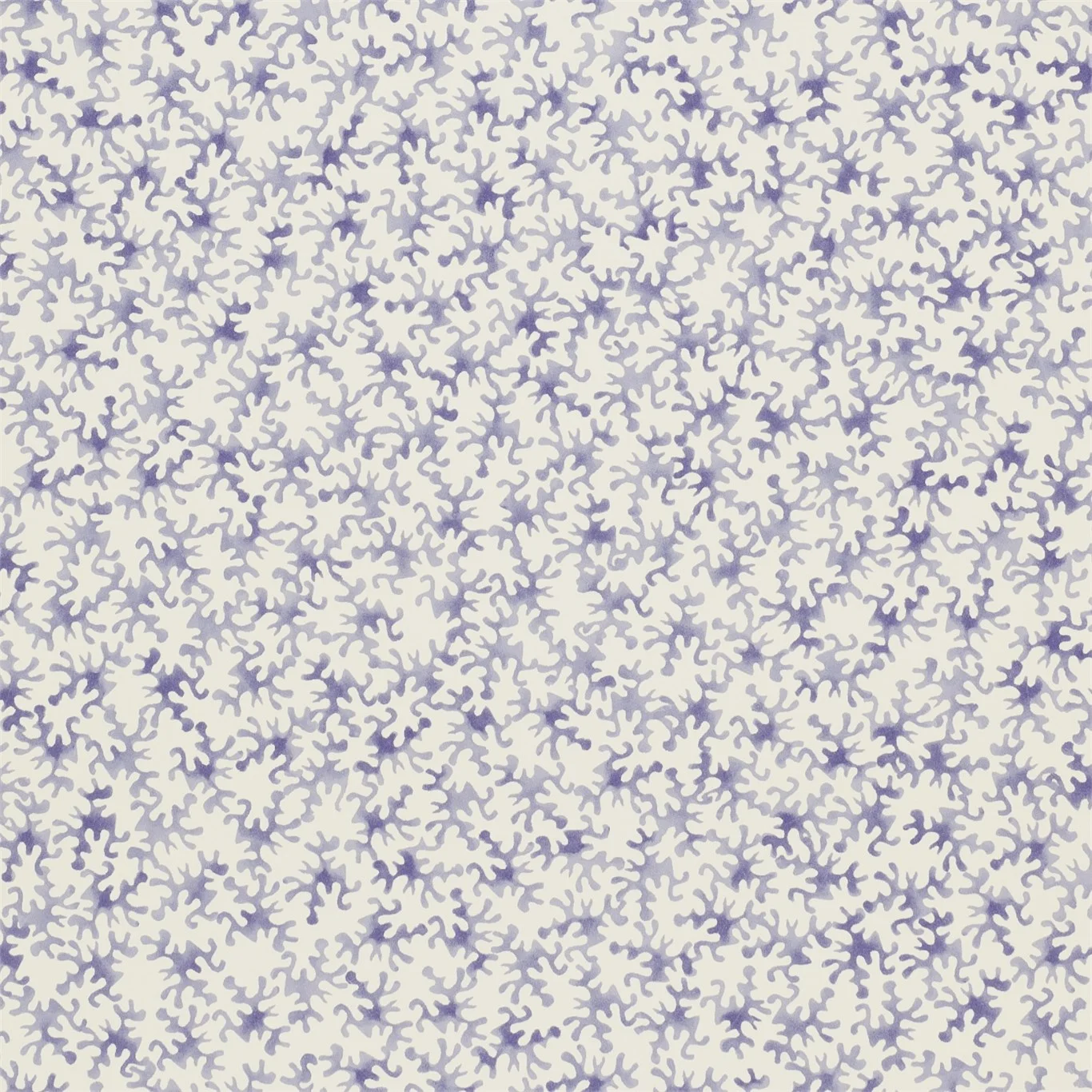 Coral 213631