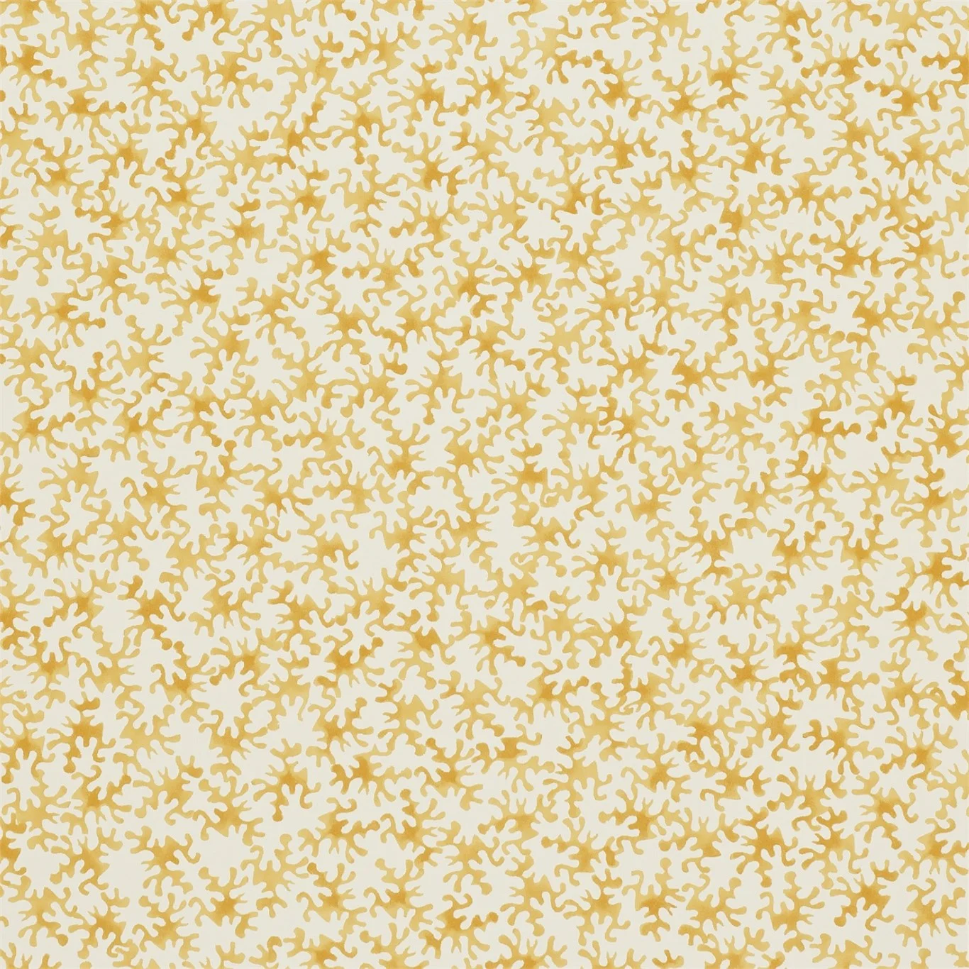 Coral 213630