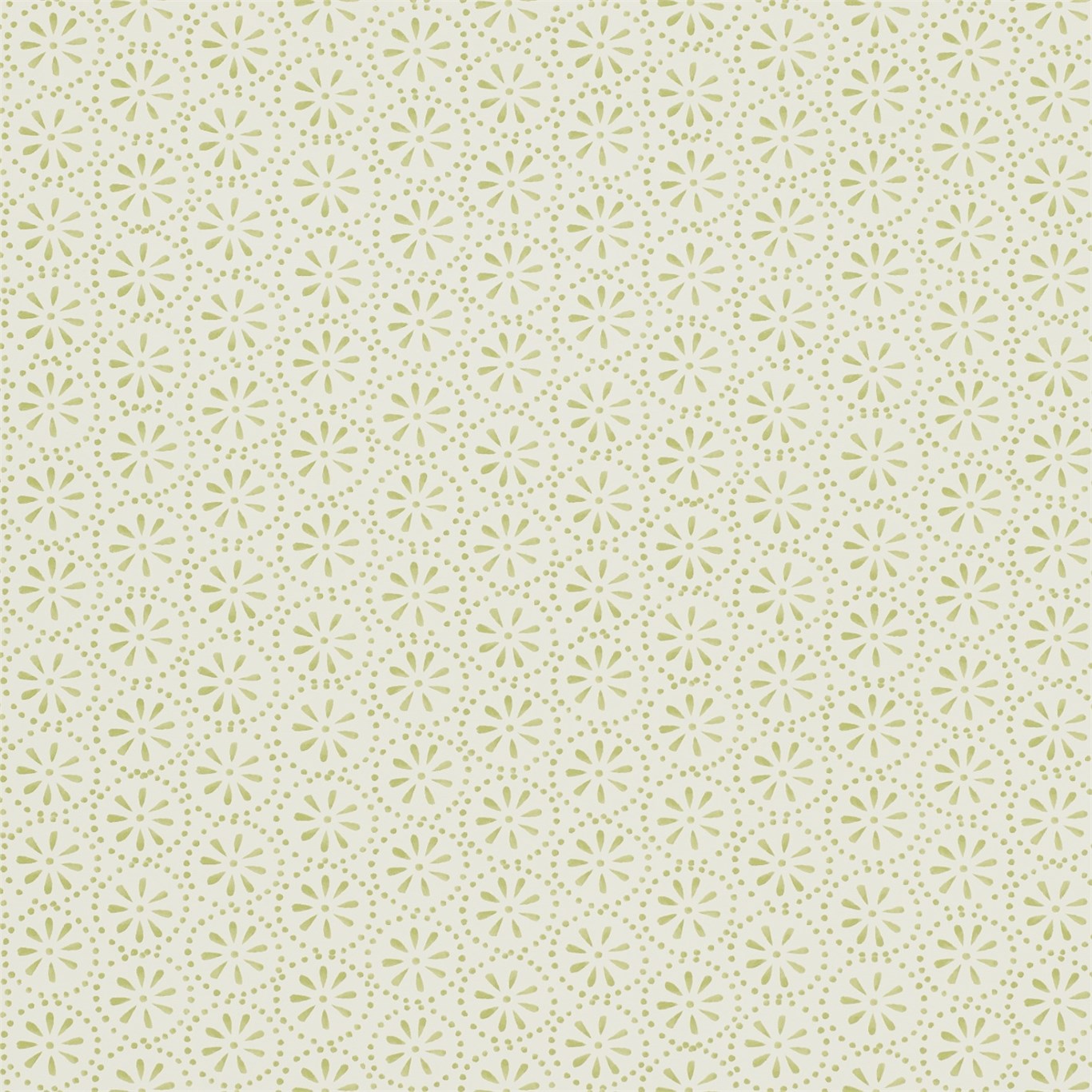 Daisy Spot Moss