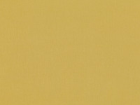Maize 7773-40
