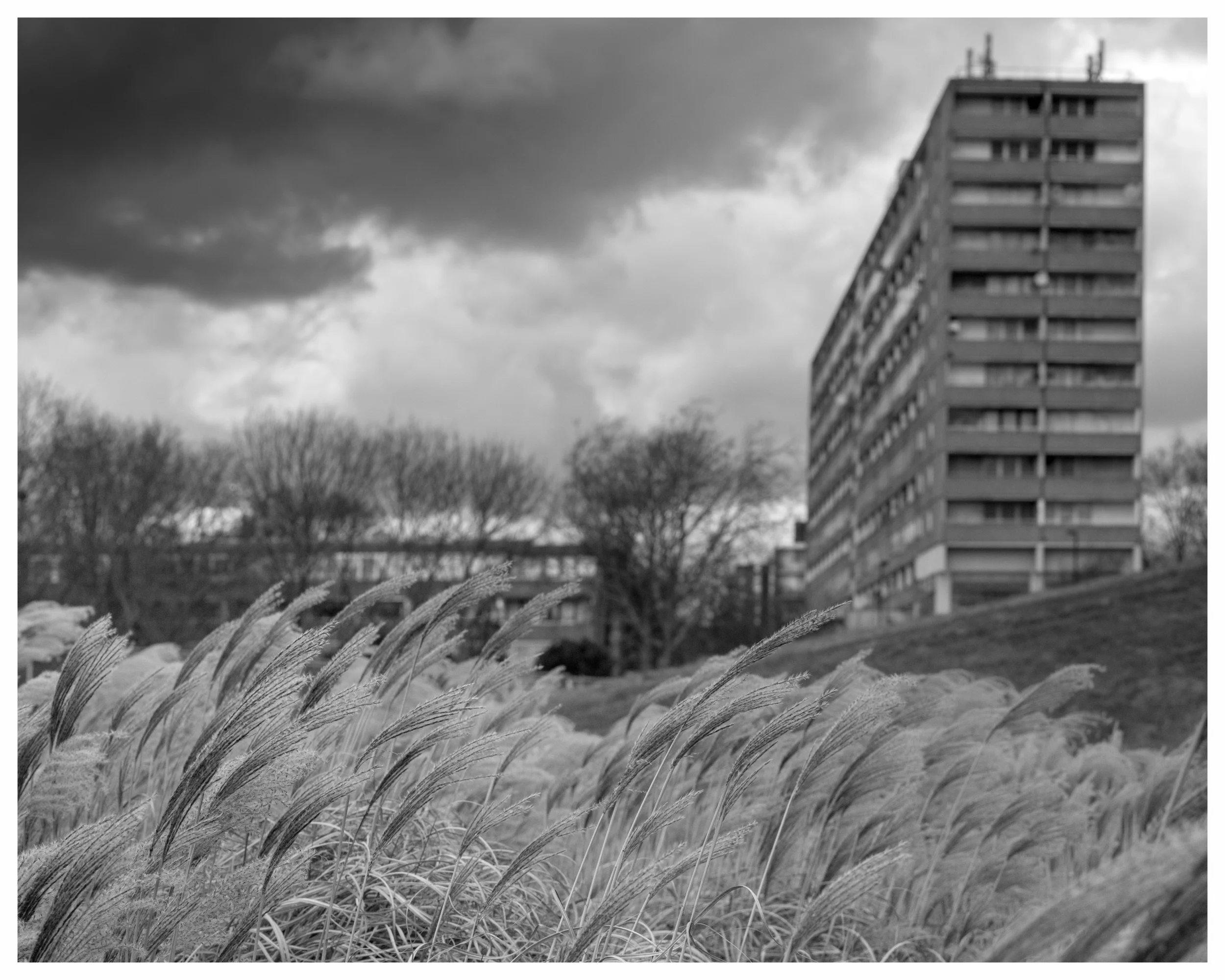 Burgess Park London 2018