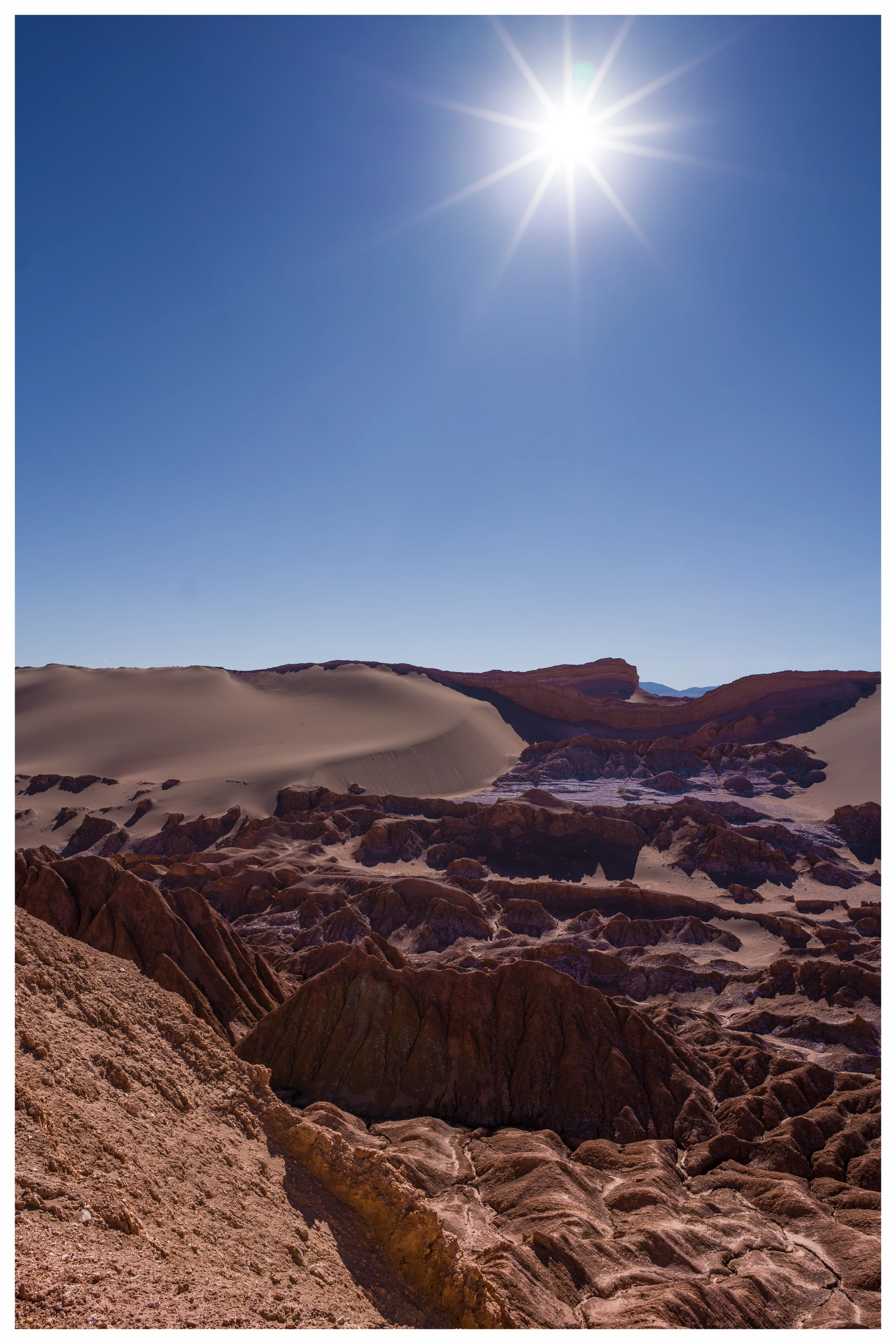 _DSC8916-Edit.jpg
