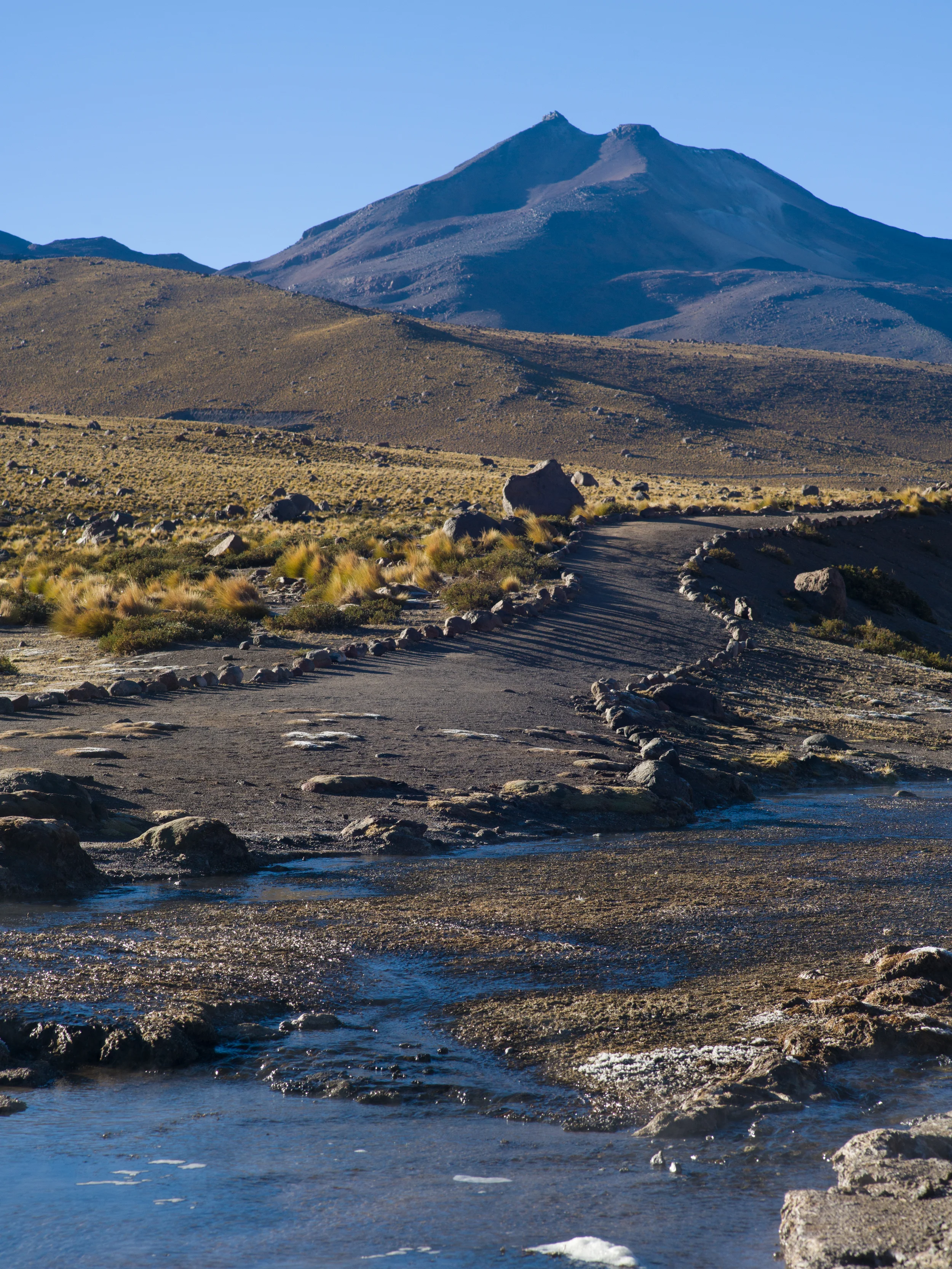 _DSC9174.jpg
