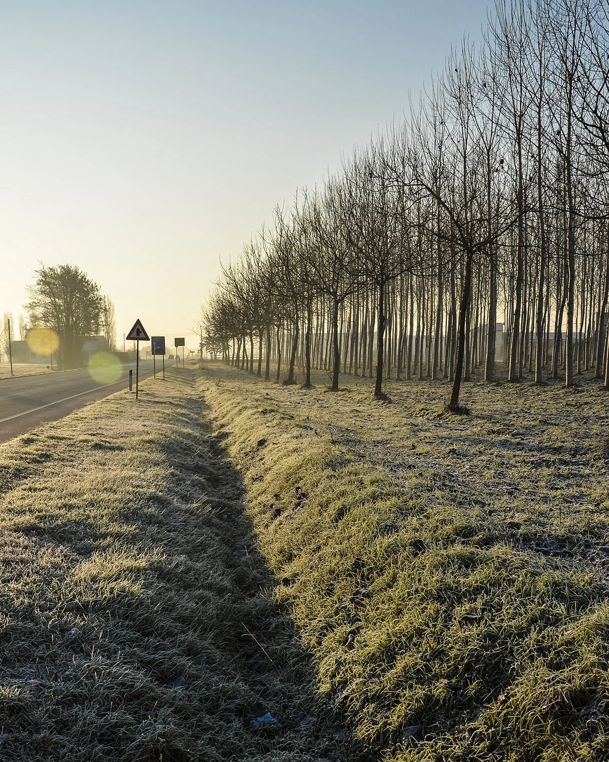 Filari lungo il fosso - Emilia Romagna
