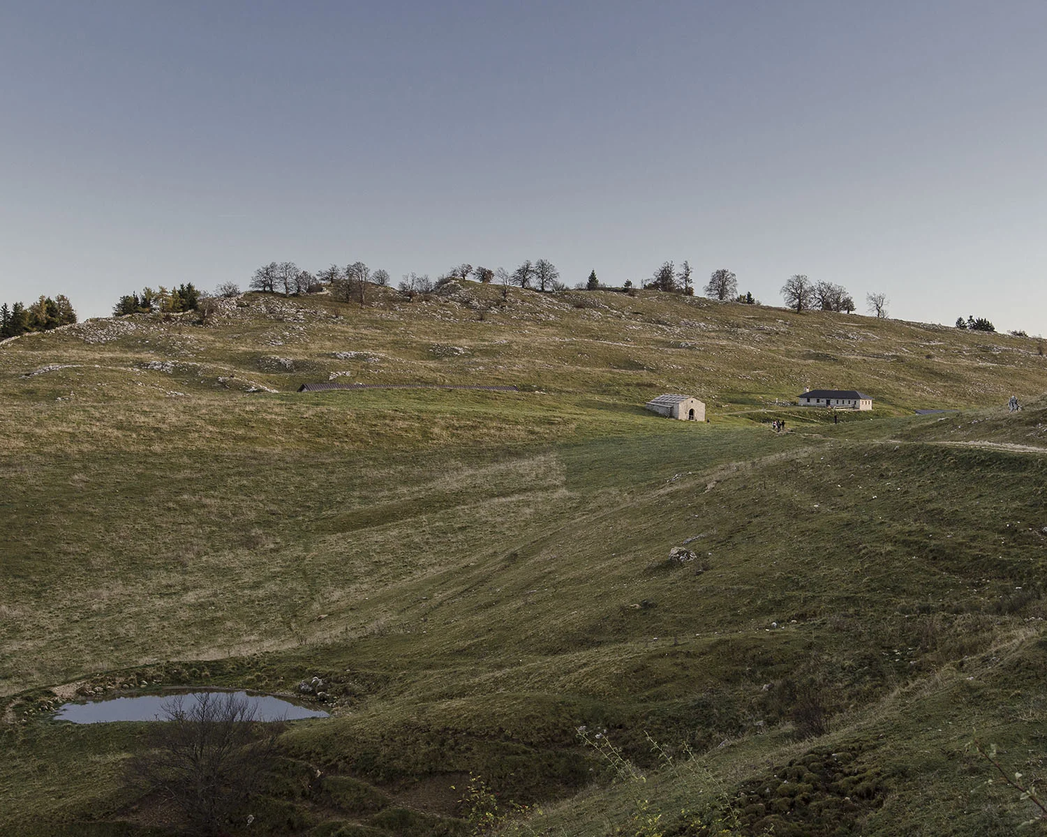 Panorama - Malga Bes - Trentino Alto Adige