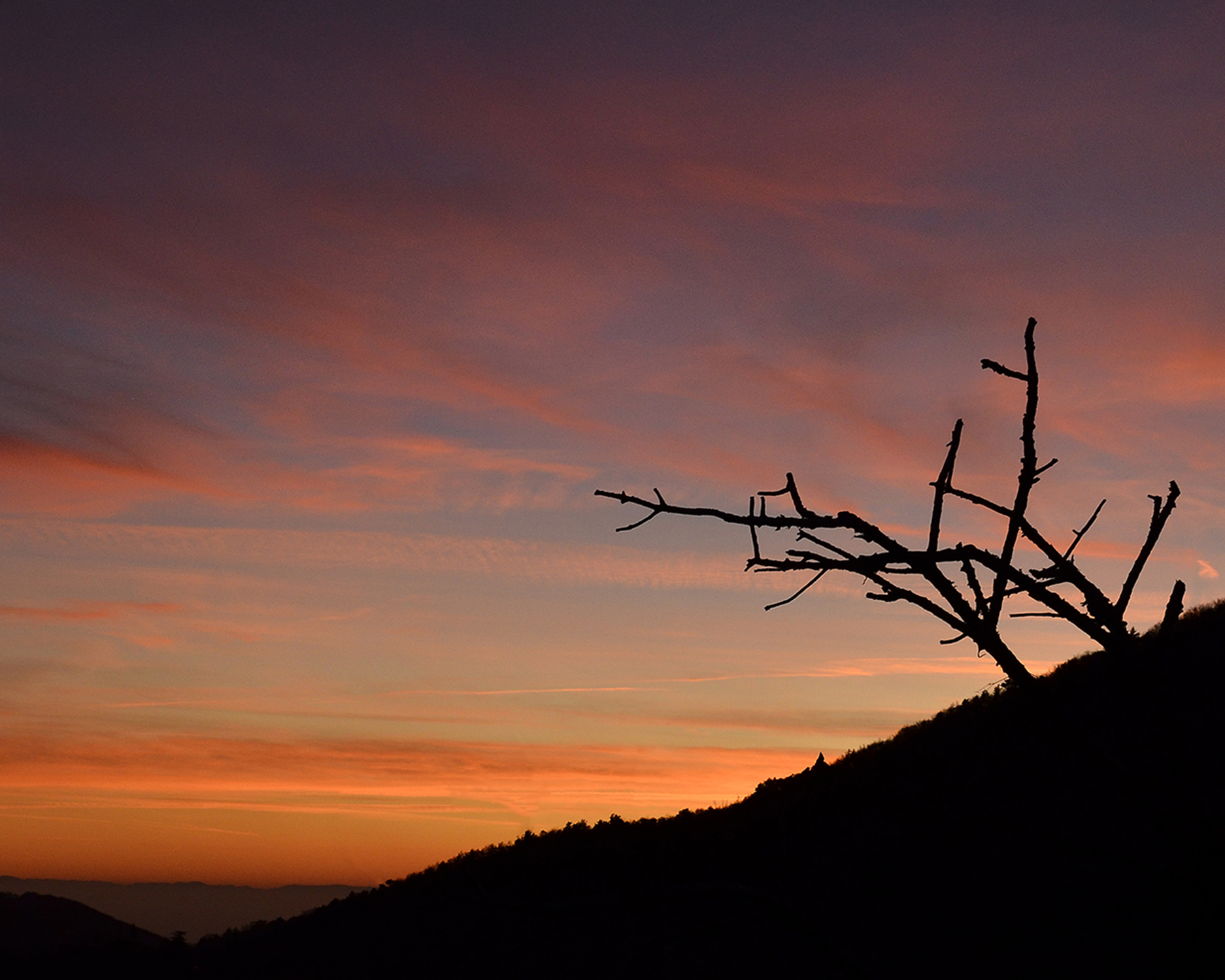 _DSC8894 - tramonto dai Lessini.jpg