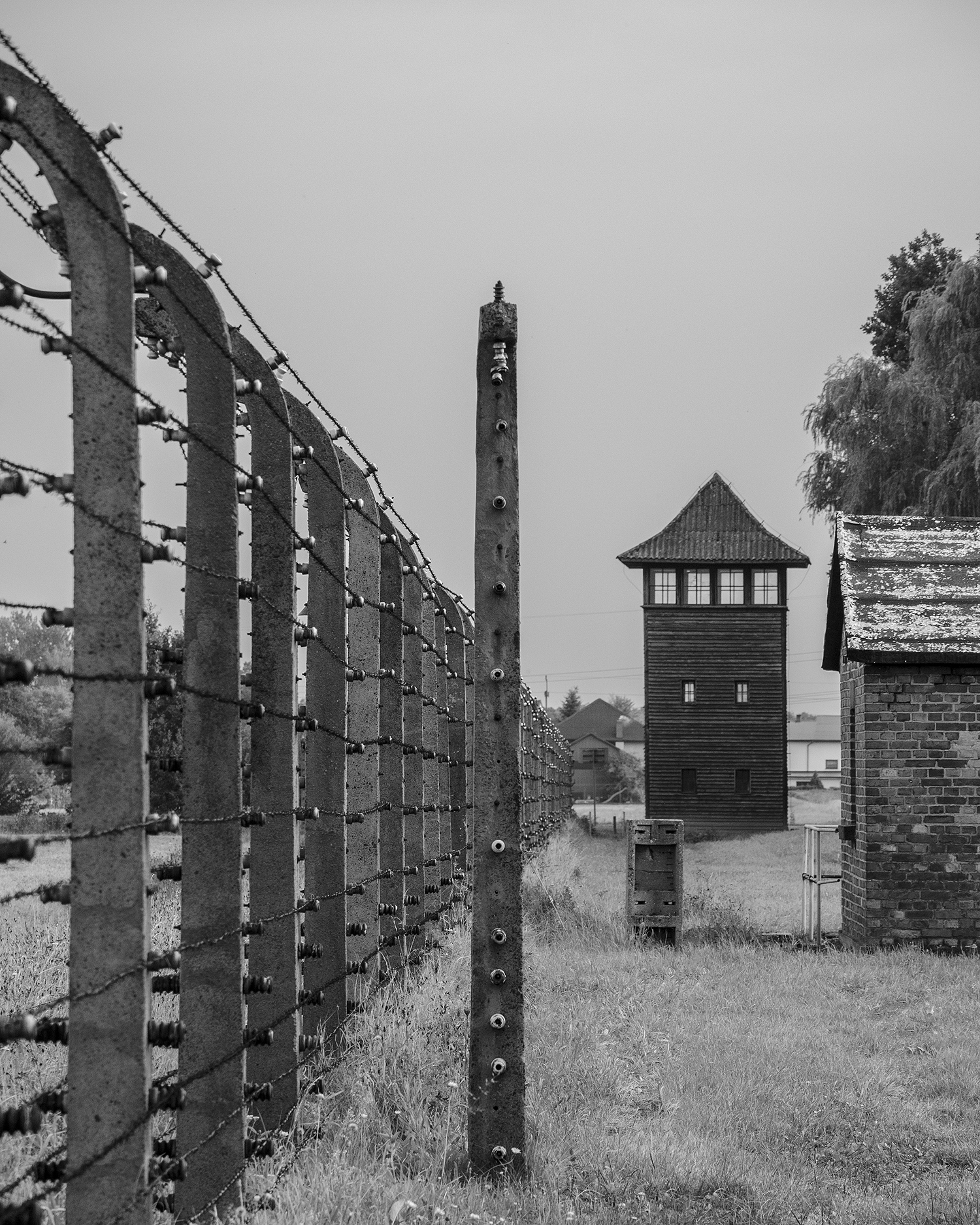 Auschwitz Birkenau-recinto e torretta di guardia-3203.jpg