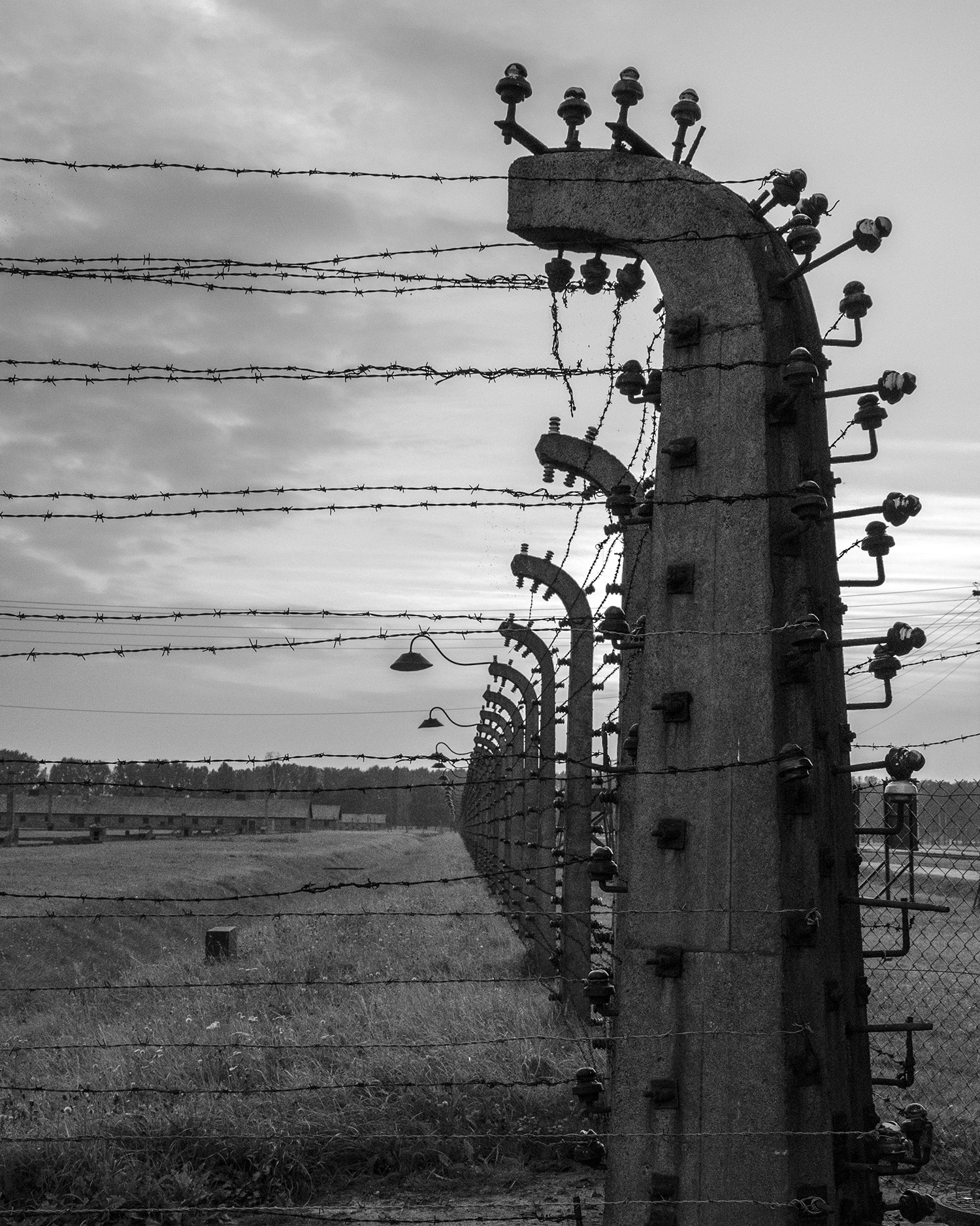 Auschwitz Birkenau-reticolati con isolatori-3236.jpg