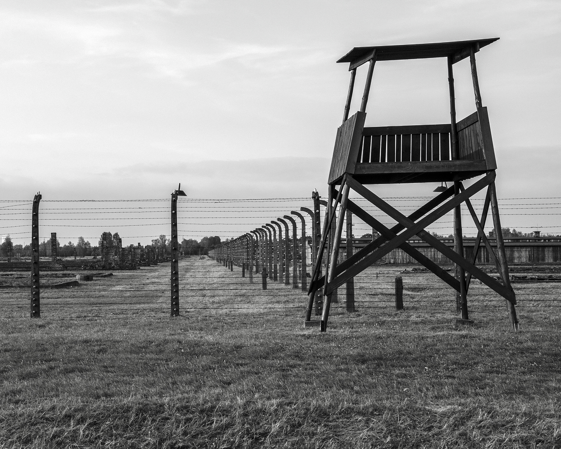 Auschwitz Birkenau-reticolati e torretta-3178.jpg