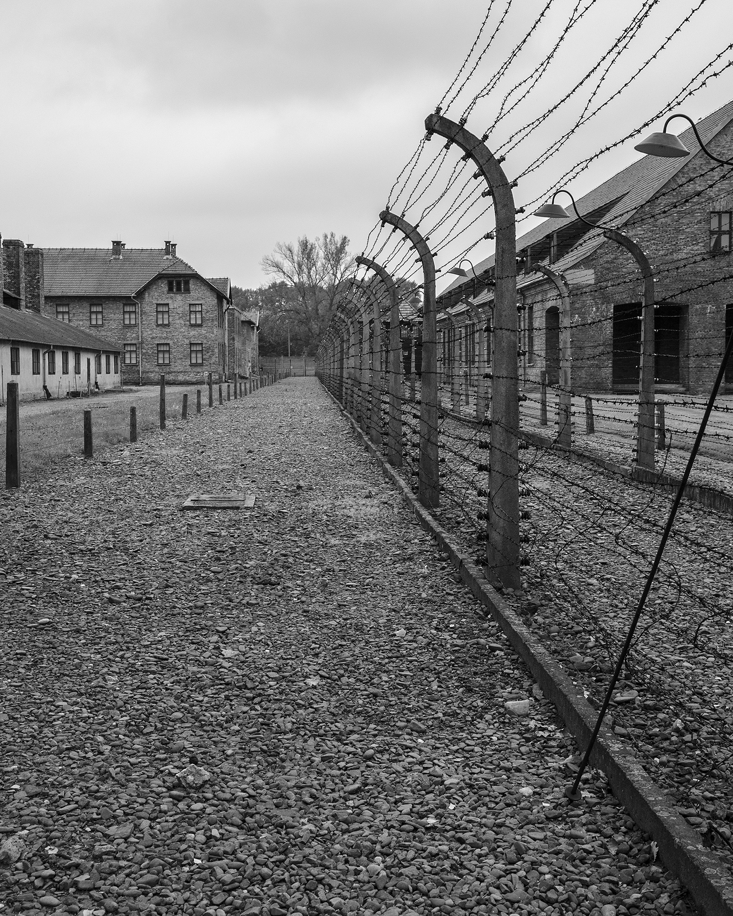 Auschwitz I-reticolati-3018.jpg