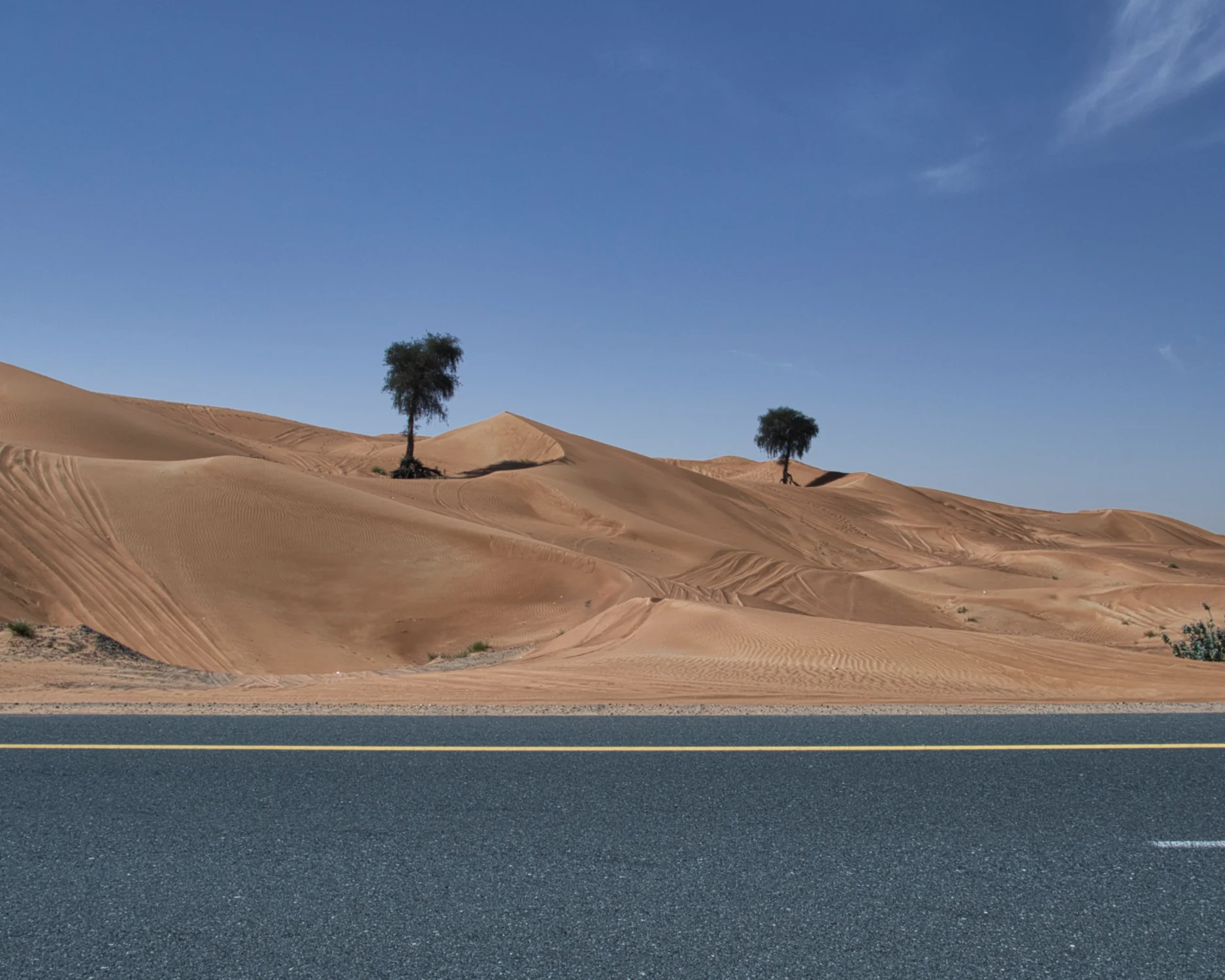 Deserto - Dubai - U.A.E.