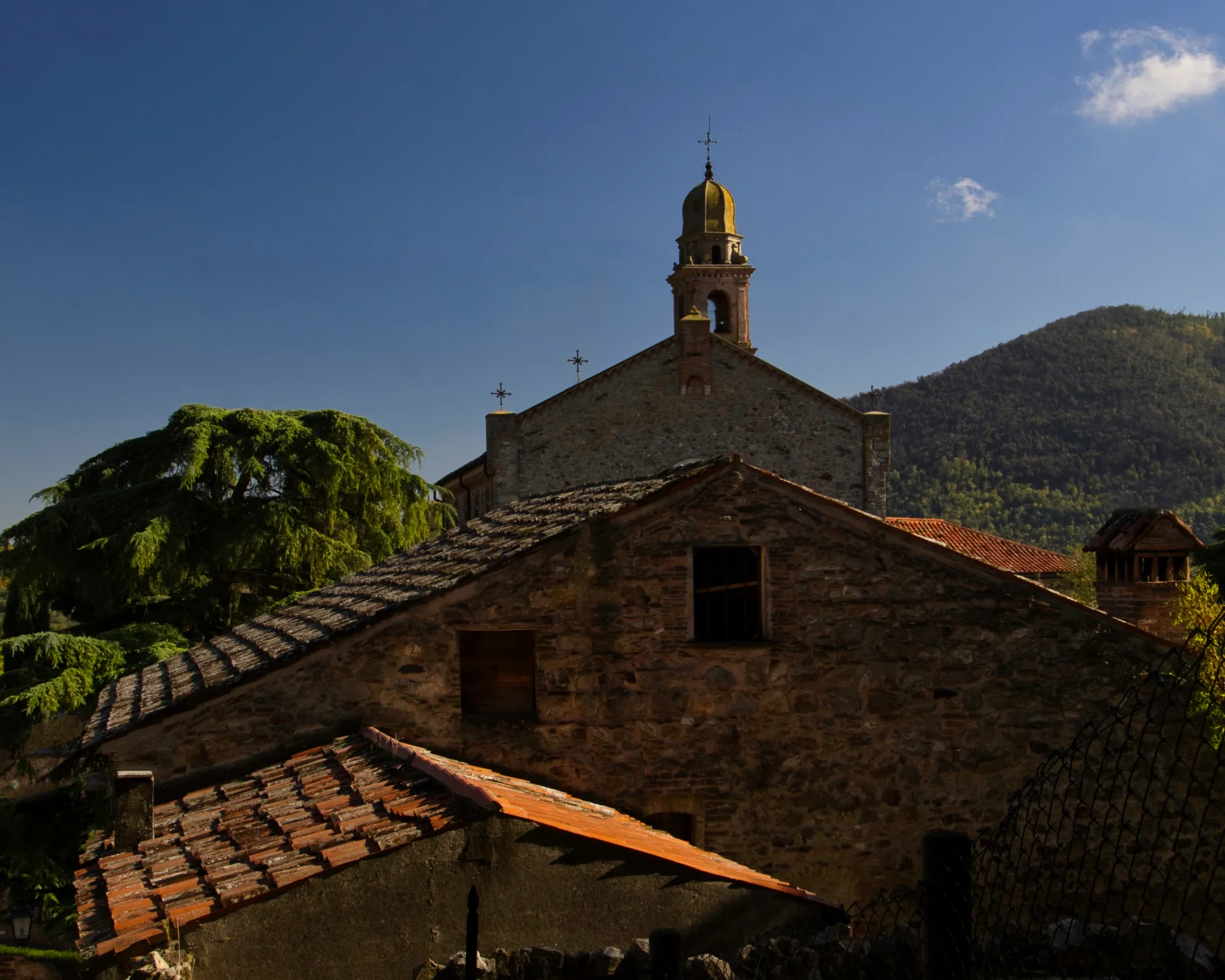 Arquà Petrarca - sui tetti - Veneto