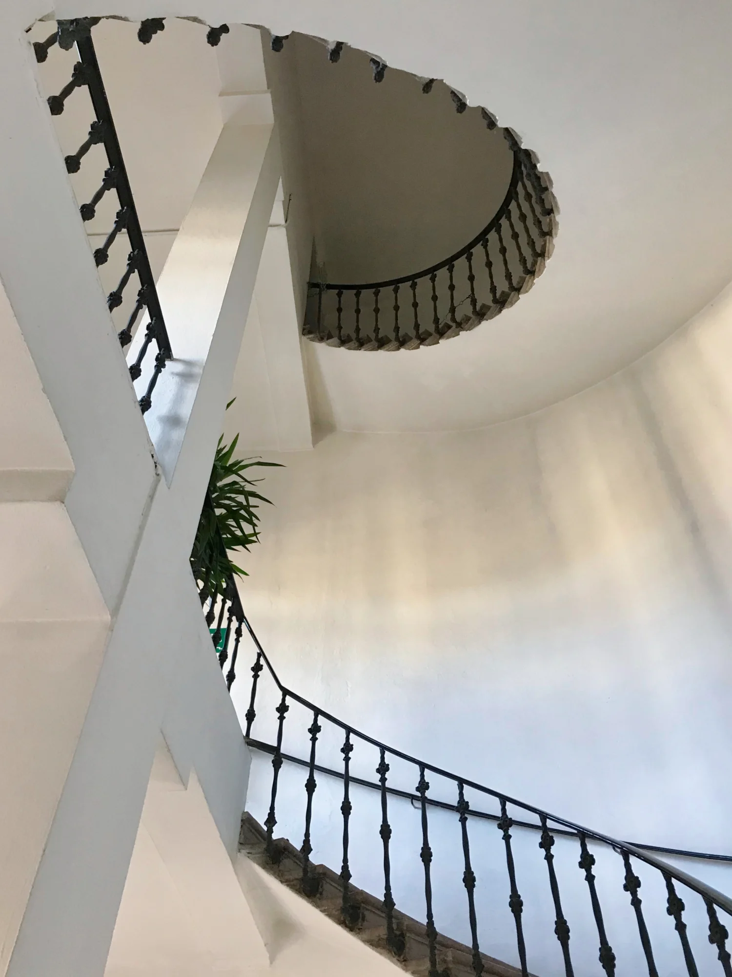 Scalone ex Manifattura Tabacchi - Rovereto - Trentino Alto Adige