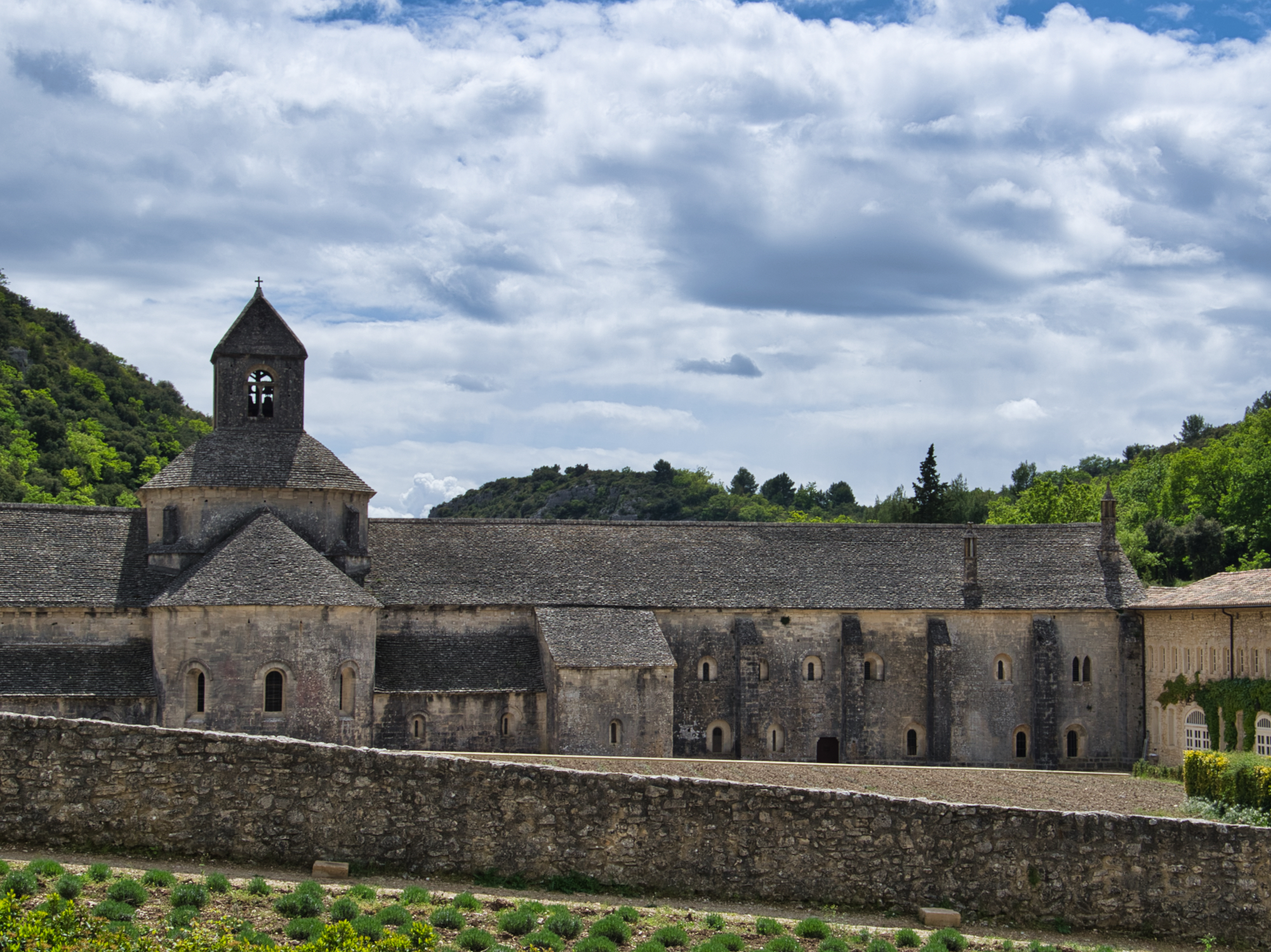 Abbazia di Sénanque-Provenza_9735.jpeg