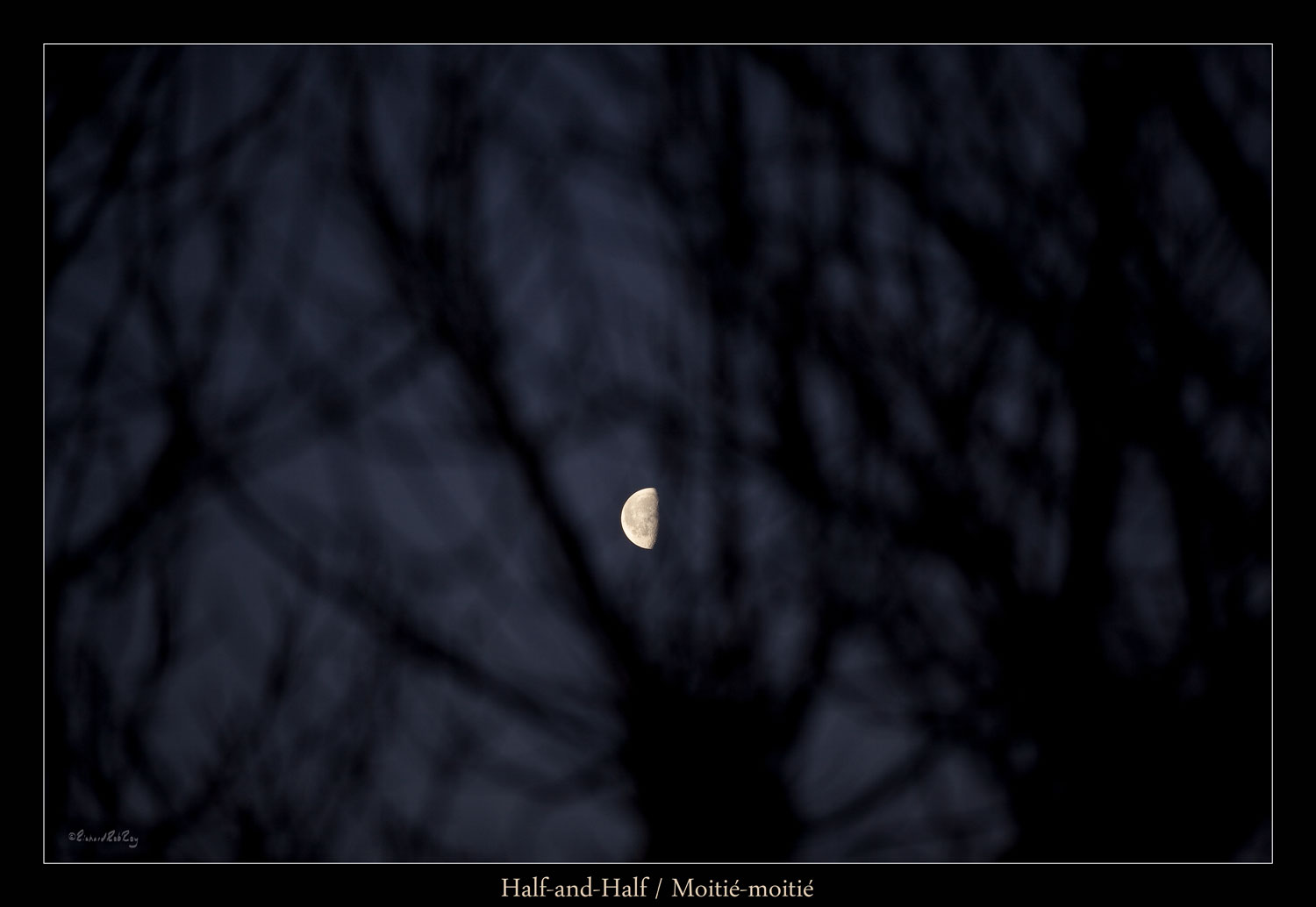 180Halfhalf72ppiJPGsRGB_MG_2255z300v1ab-1500x1034.jpg