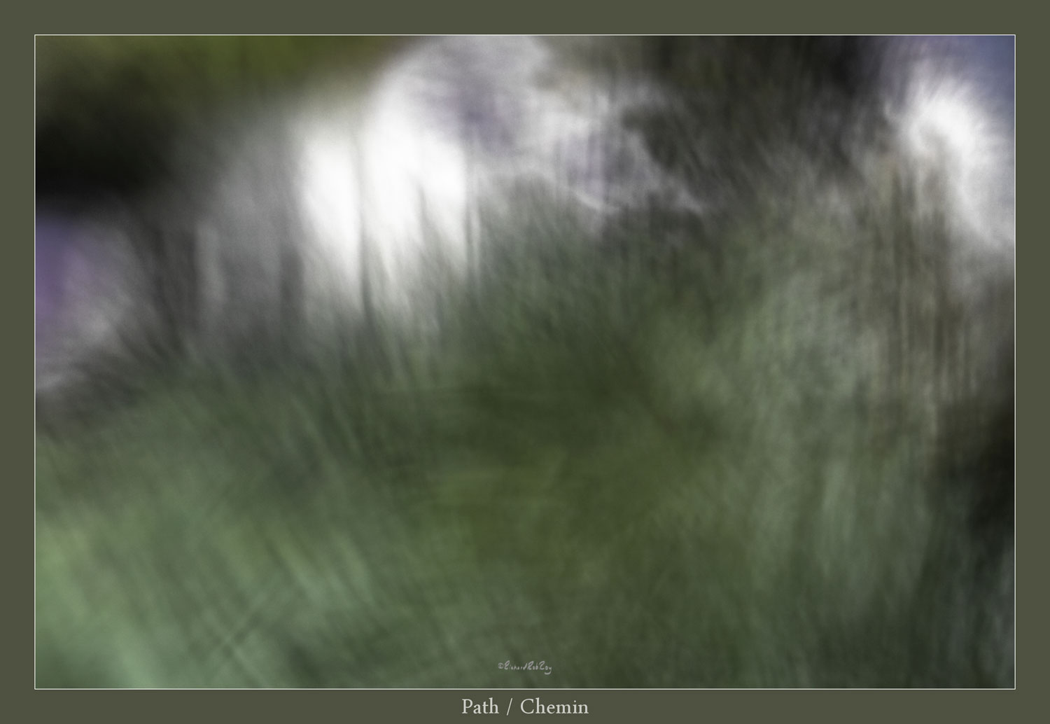 315Path72ppiJPGsRGB_MG_7943zv1ab-1500x1034.jpg